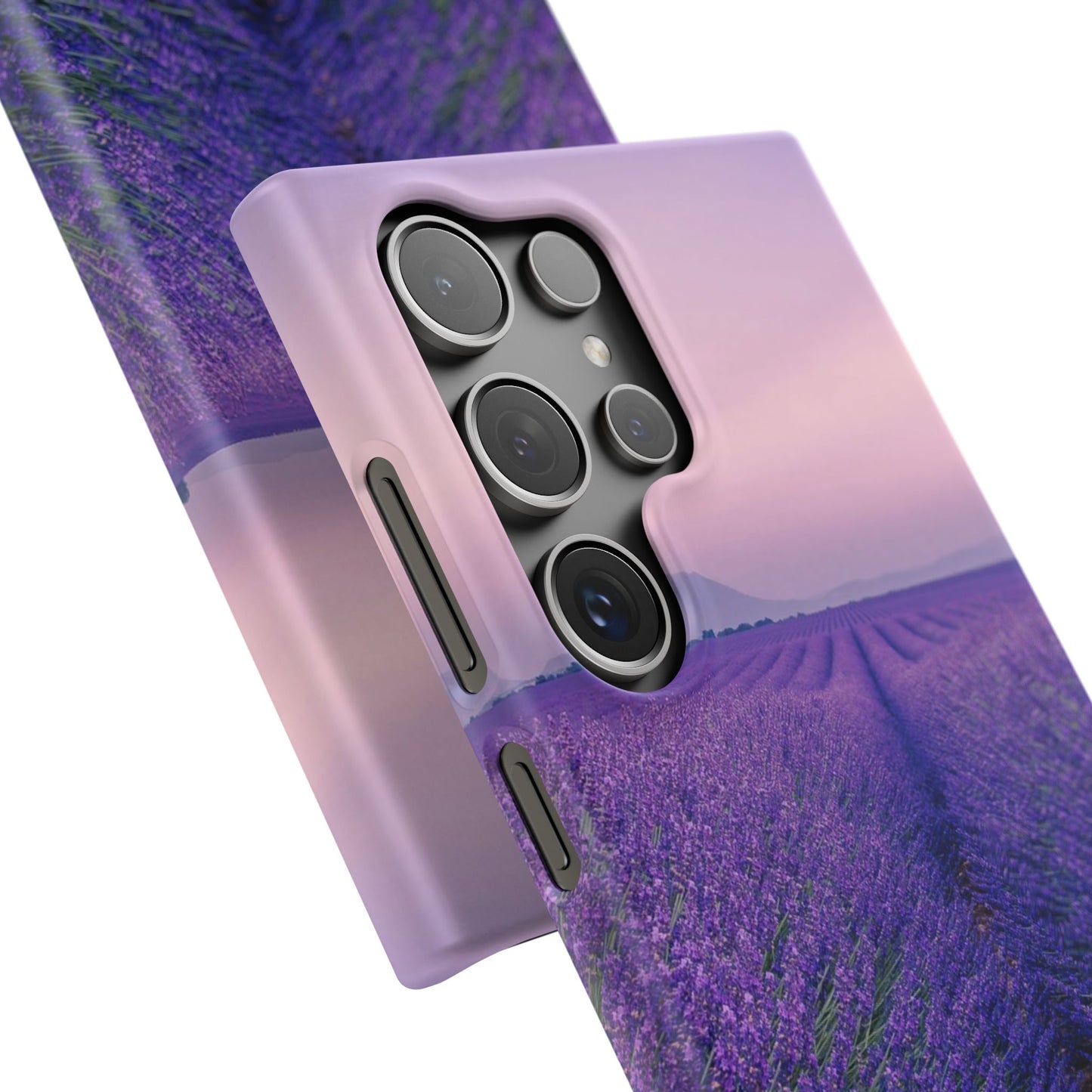 Lavender Fields Cajasol - A Floral Touch for Nature Lovers
