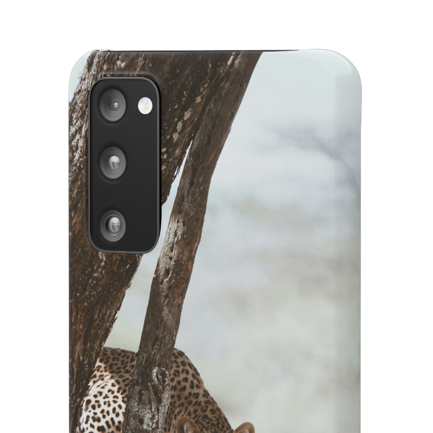 Leopard Cajasol - Wildlife Vibes