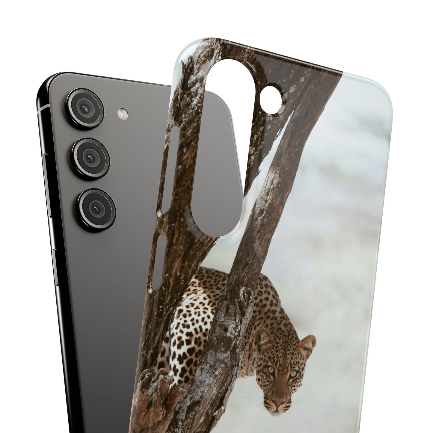 Leopard Cajasol - Wildlife Vibes