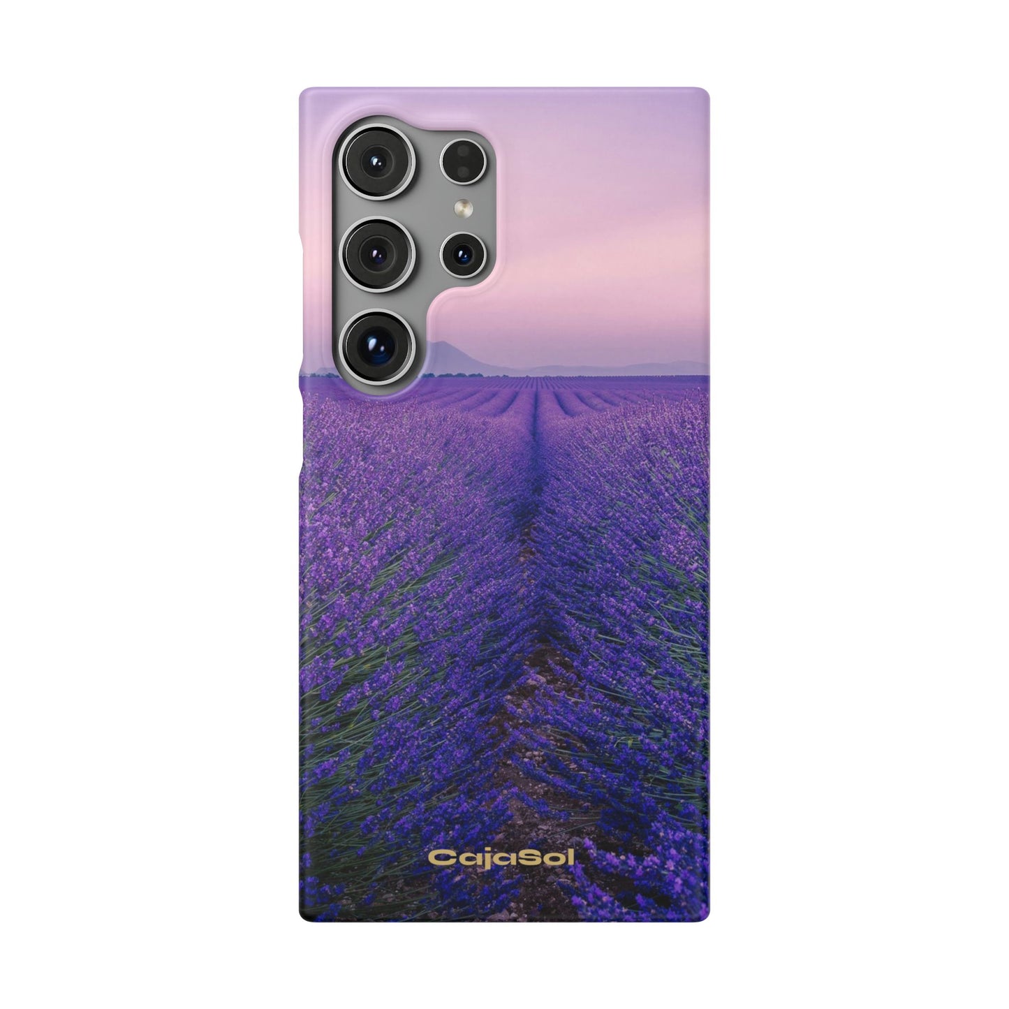 Lavender Fields Cajasol - A Floral Touch for Nature Lovers