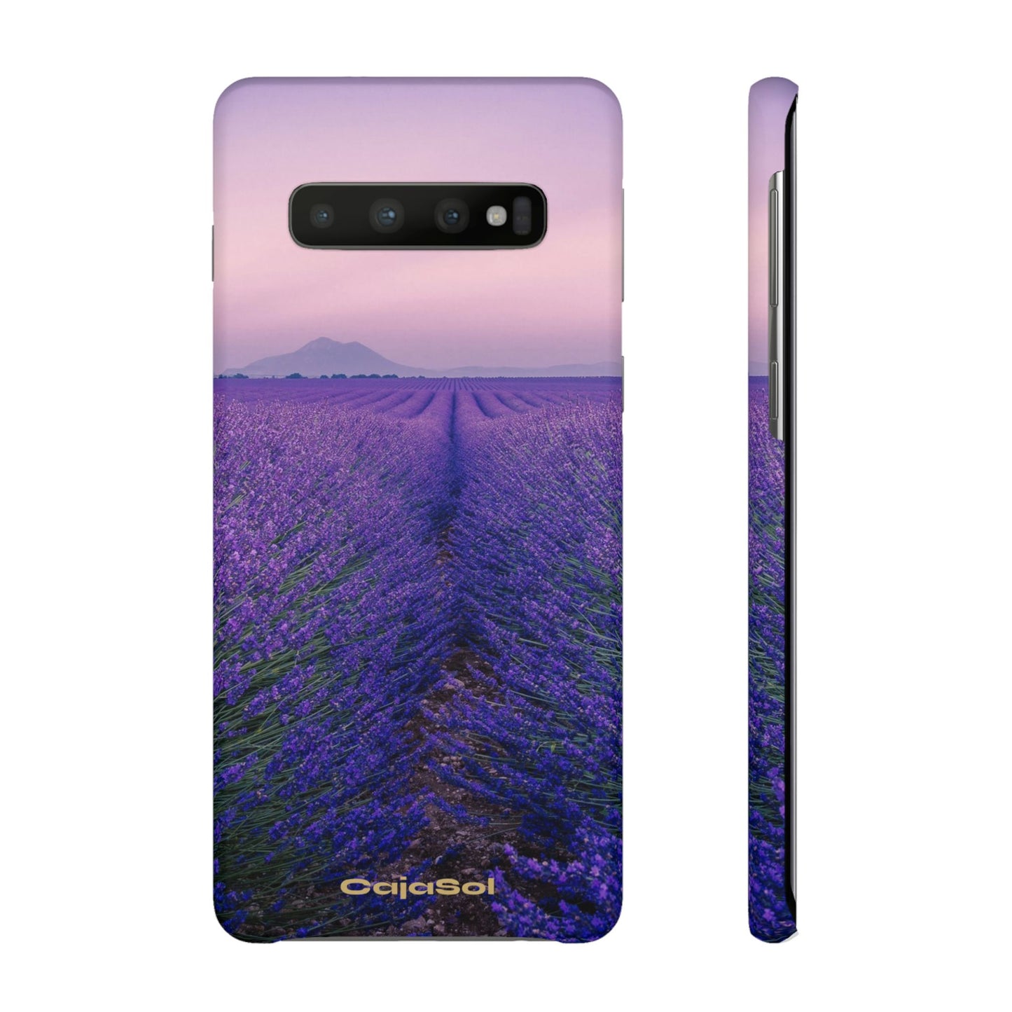 Lavender Fields Cajasol - A Floral Touch for Nature Lovers