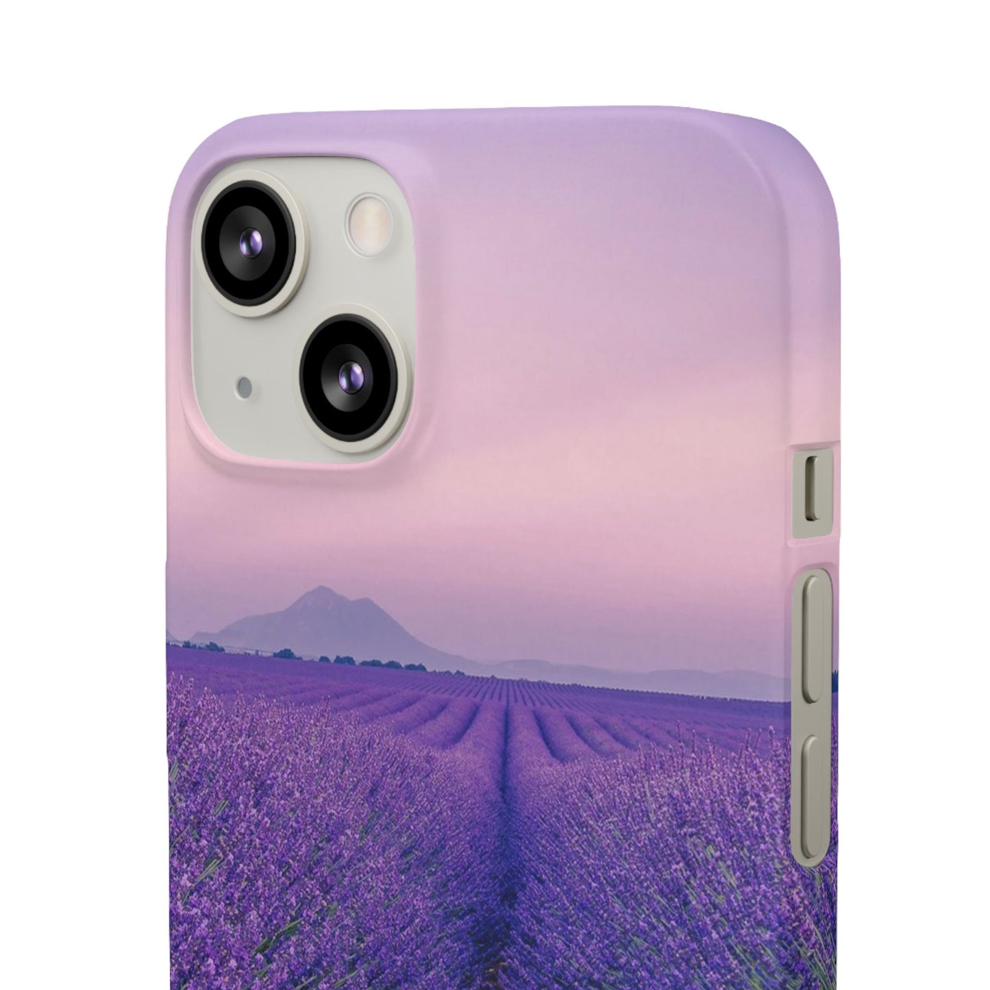 Lavender Fields Cajasol - A Floral Touch for Nature Lovers