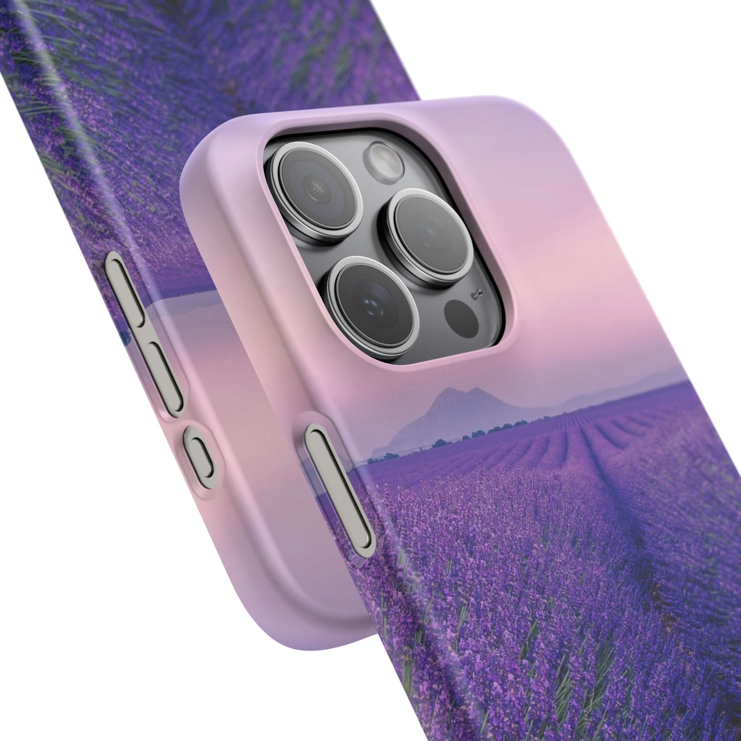 Lavender Fields Cajasol - A Floral Touch for Nature Lovers