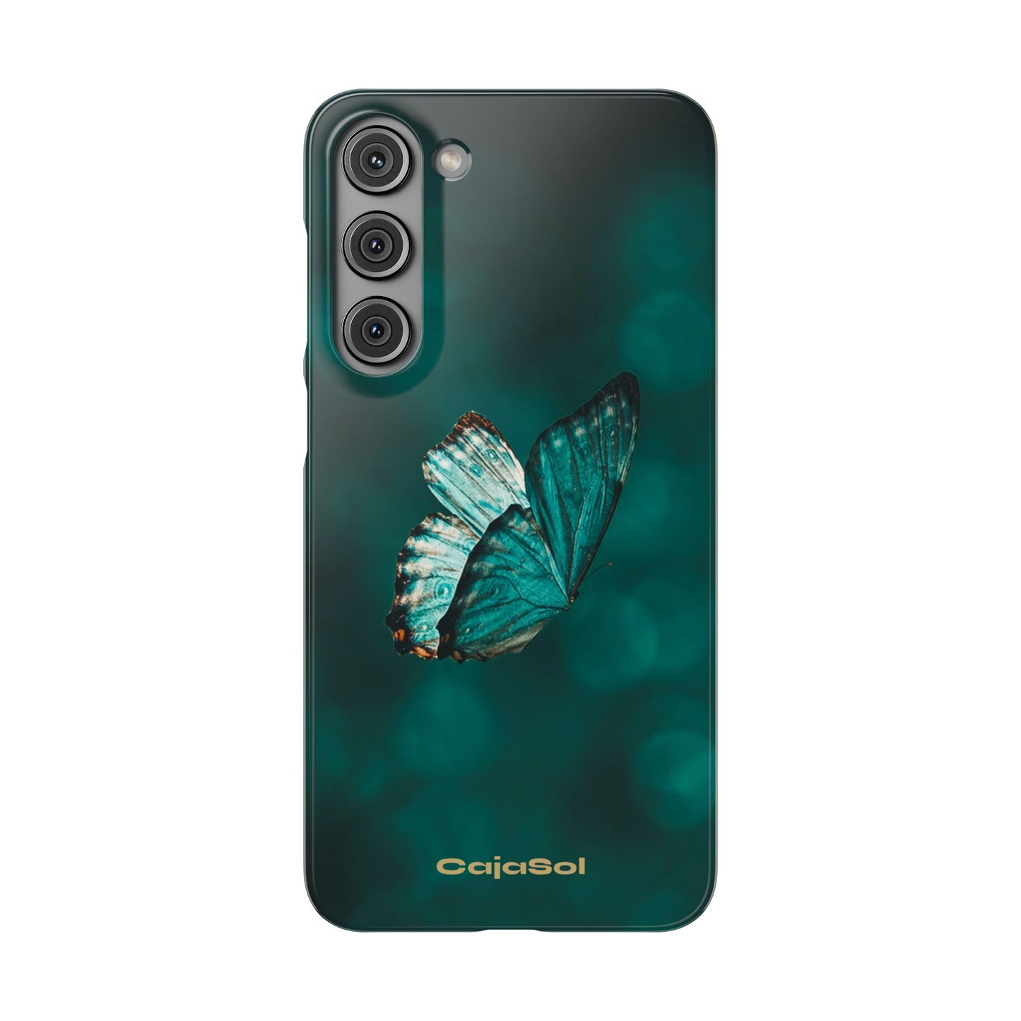 Butterfly Cajasol - Perfect for Nature Lovers