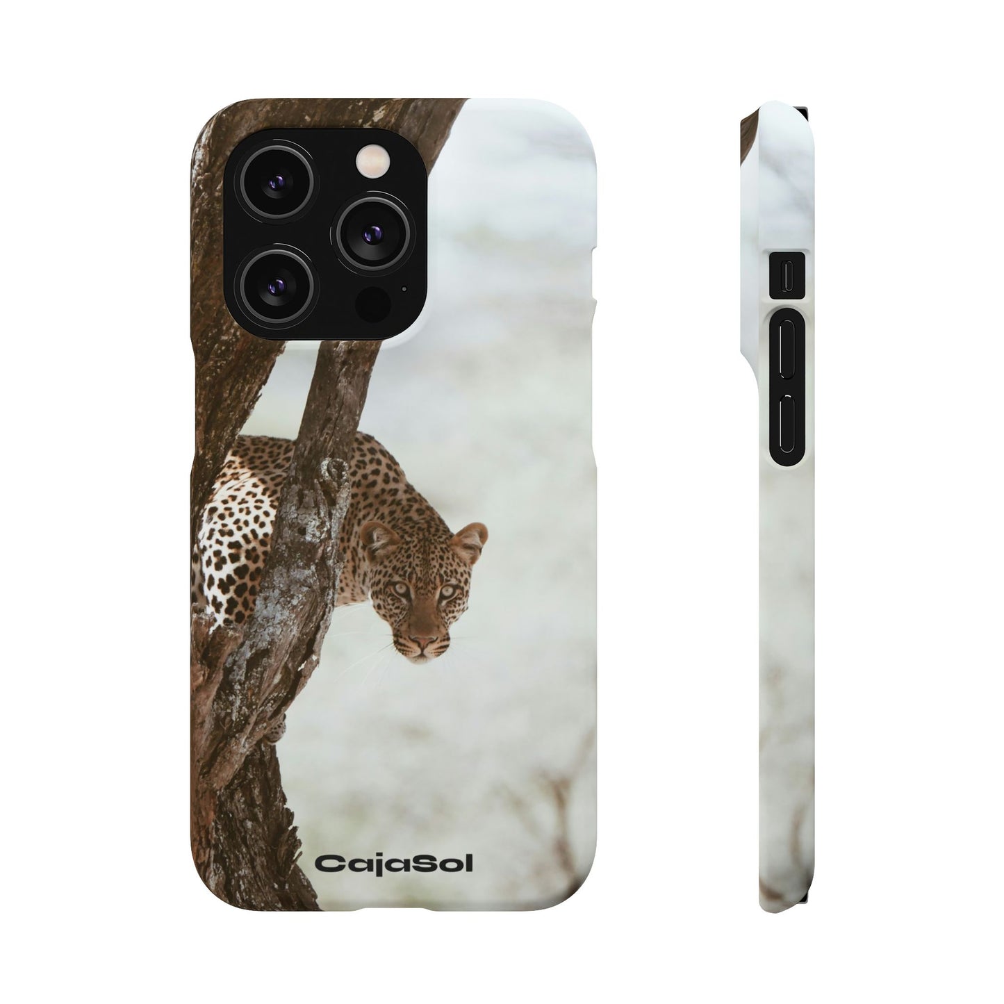 Leopard Cajasol - Wildlife Vibes