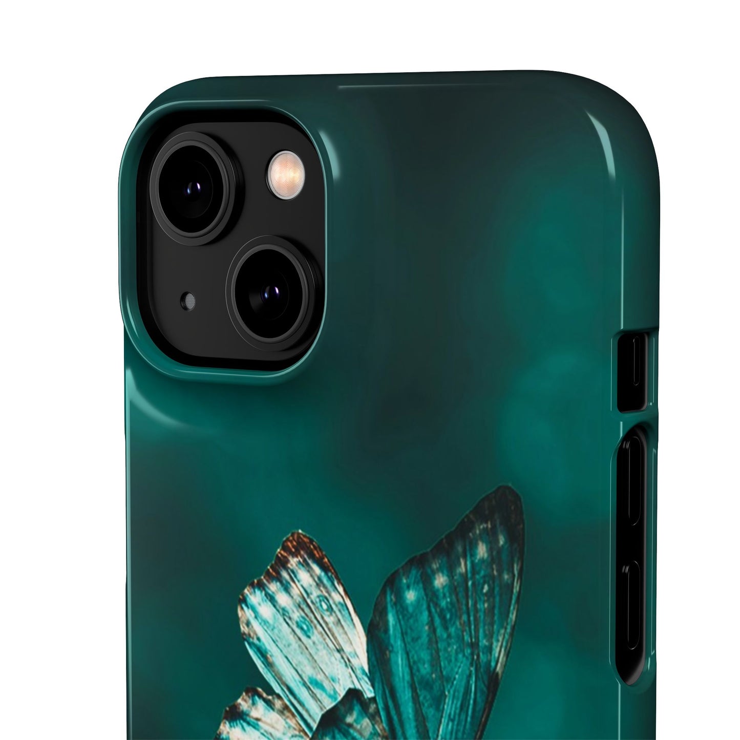 Butterfly Cajasol - Perfect for Nature Lovers