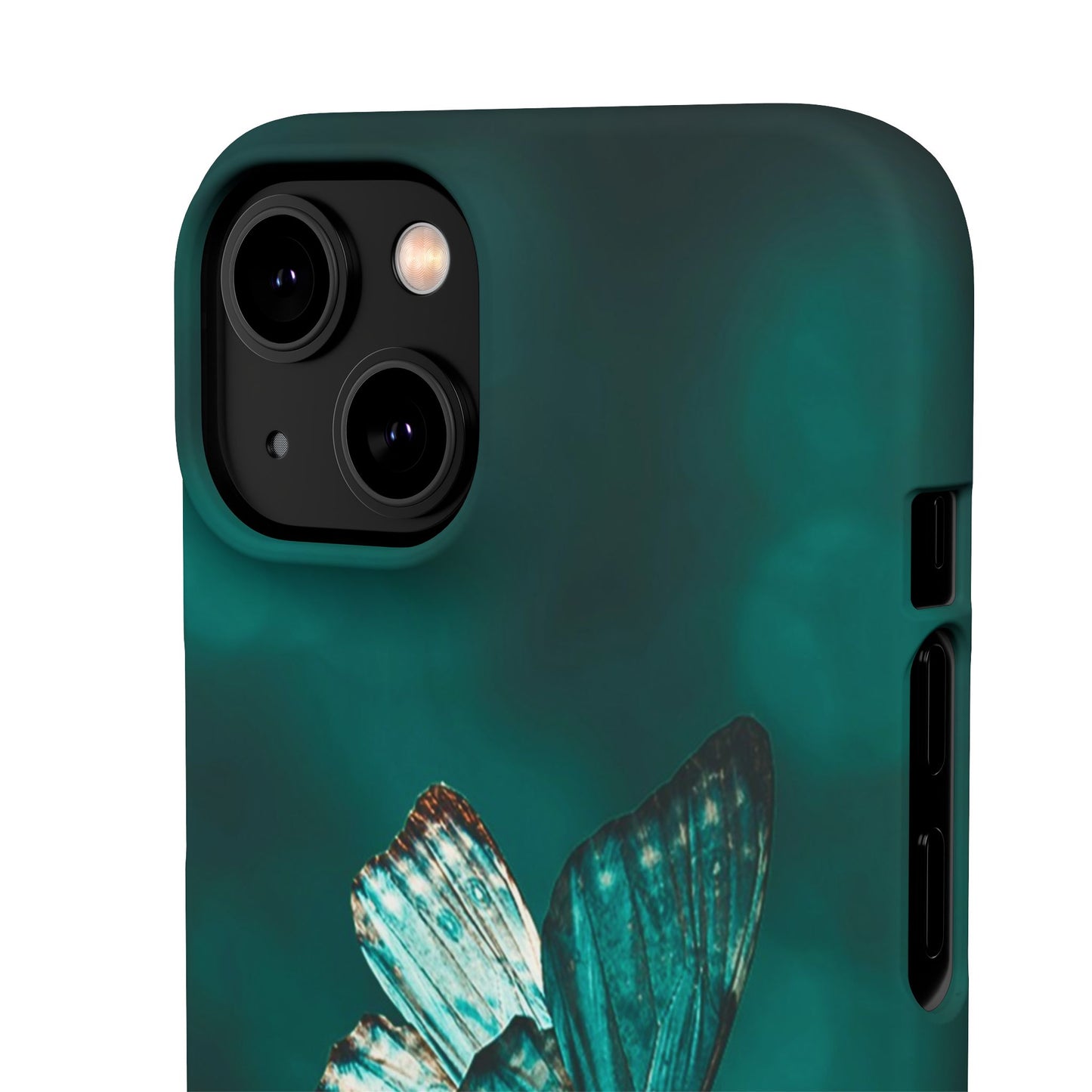 Butterfly Cajasol - Perfect for Nature Lovers