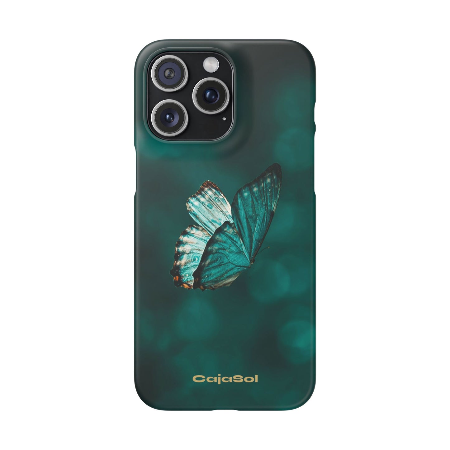 Butterfly Cajasol - Perfect for Nature Lovers