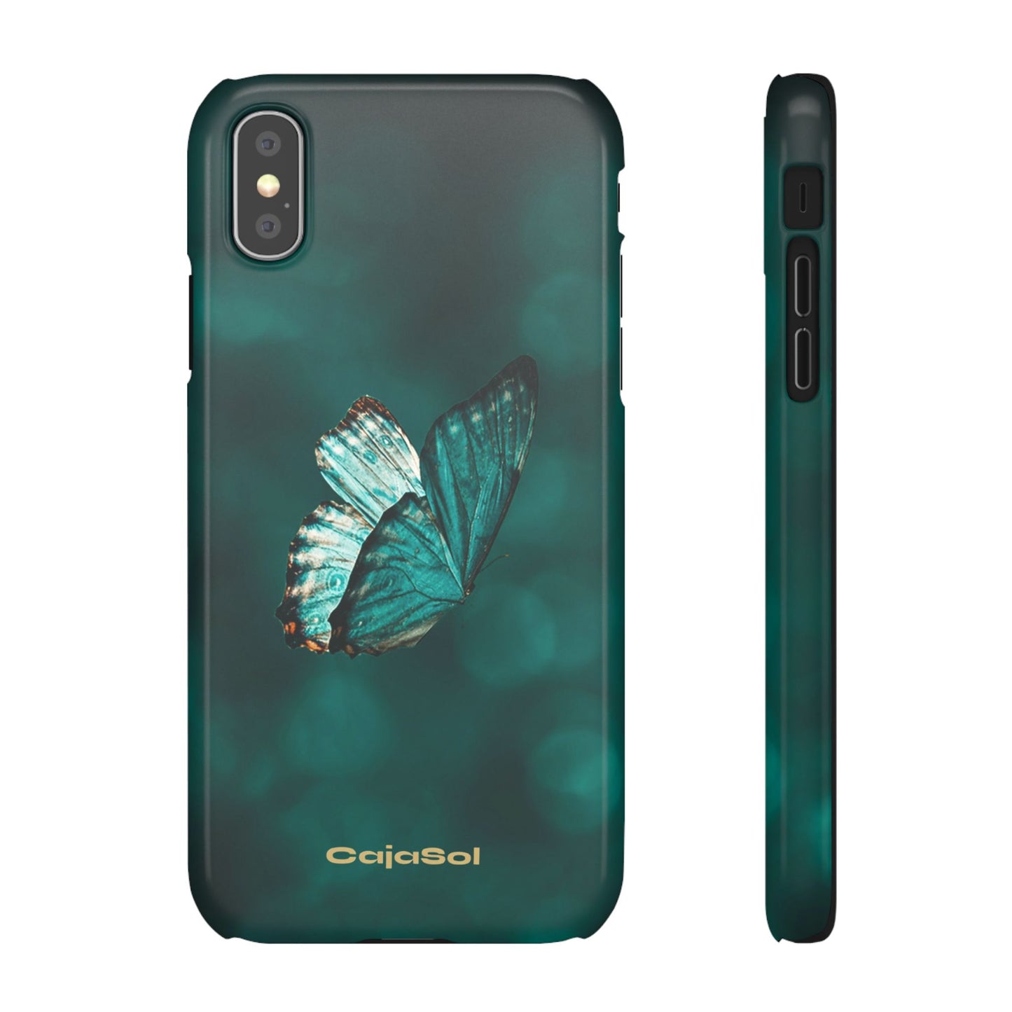 Butterfly Cajasol - Perfect for Nature Lovers