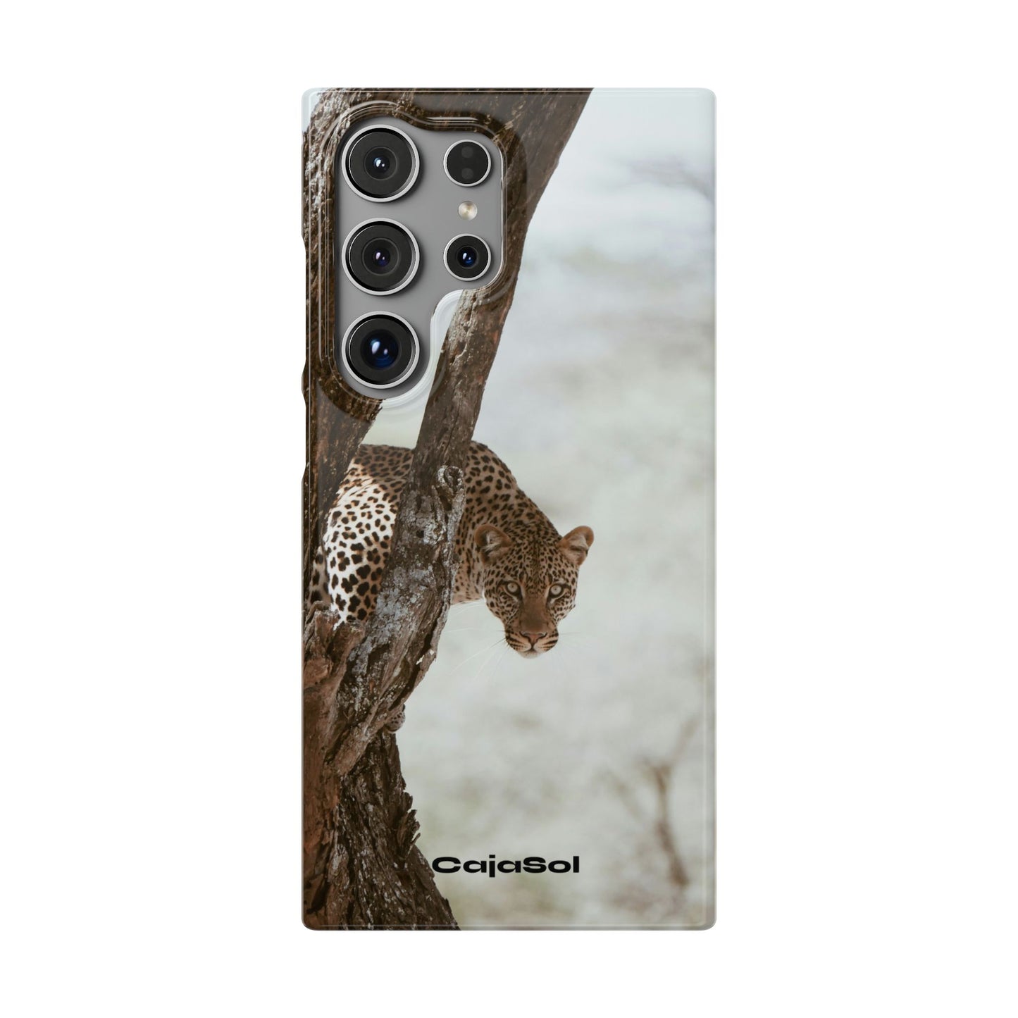 Leopard Cajasol - Wildlife Vibes