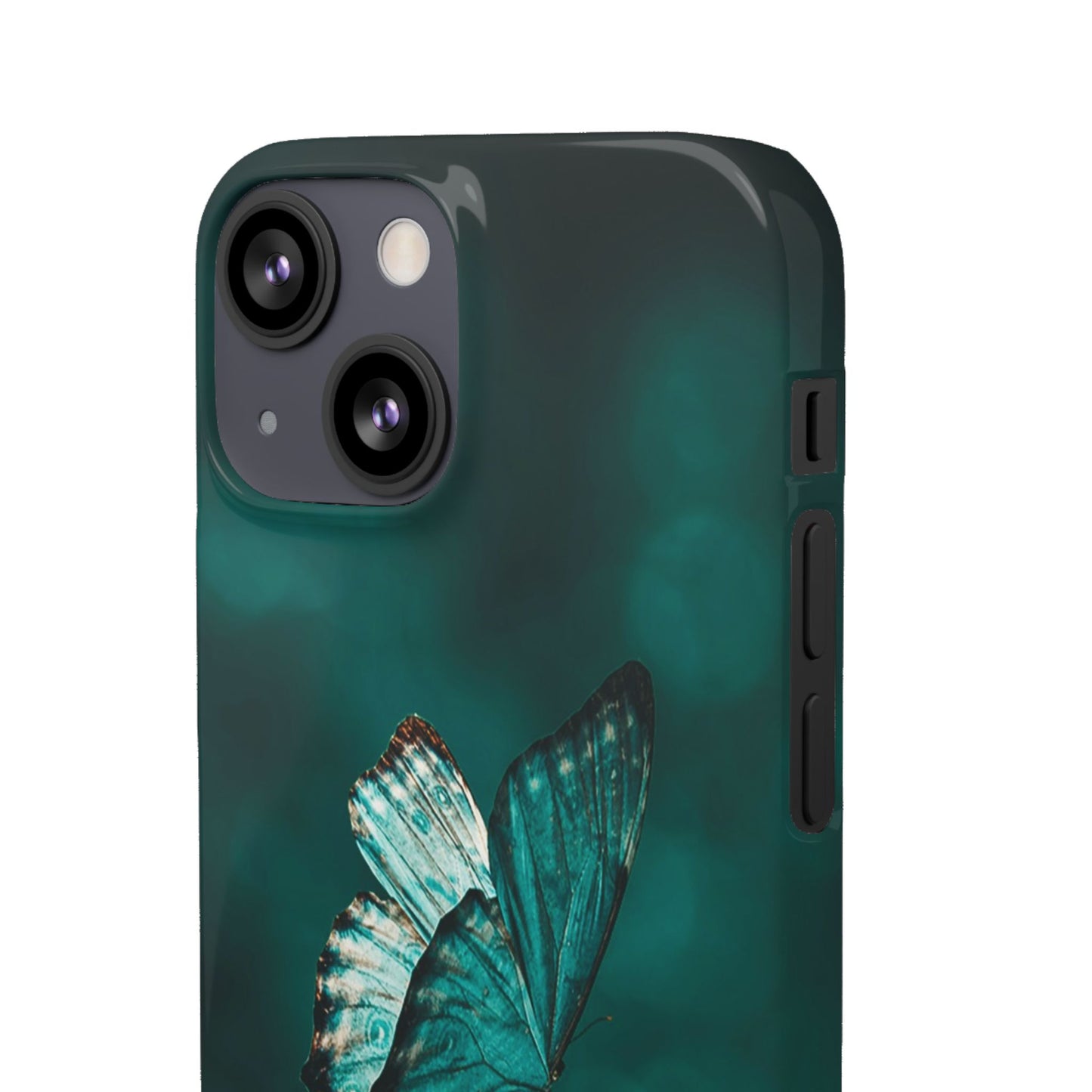 Butterfly Cajasol - Perfect for Nature Lovers