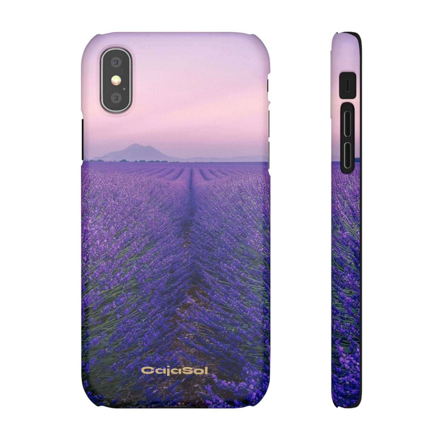 Lavender Fields Cajasol - A Floral Touch for Nature Lovers