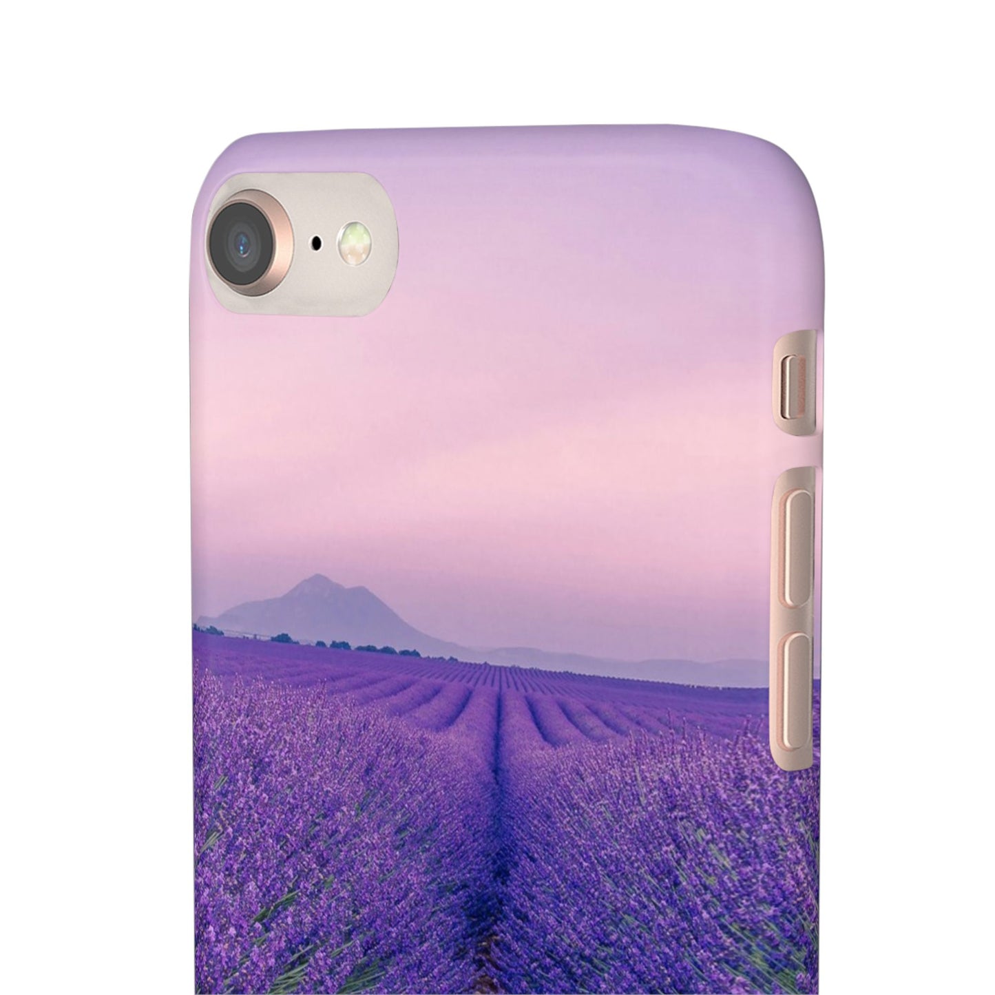 Lavender Fields Cajasol - A Floral Touch for Nature Lovers