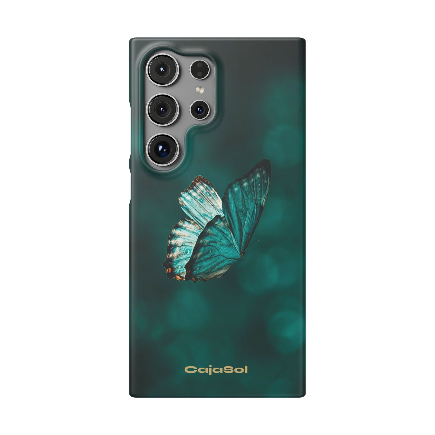 Butterfly Cajasol - Perfect for Nature Lovers