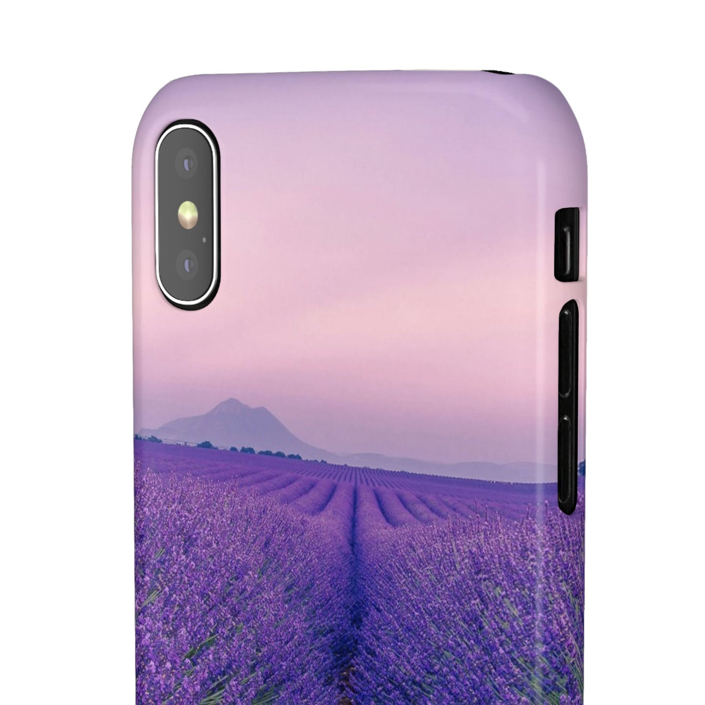 Lavender Fields Cajasol - A Floral Touch for Nature Lovers