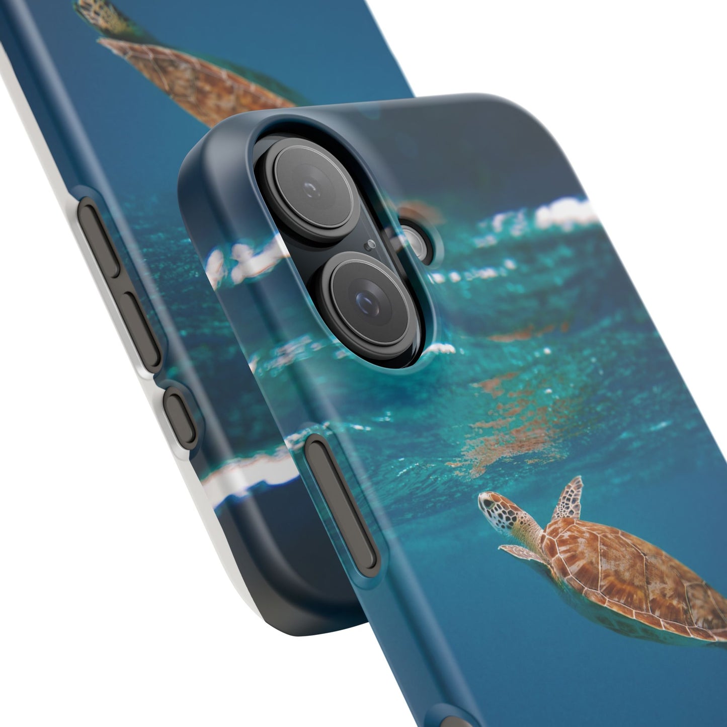 Sea Turtle Cajasol - Perfect for Beach Lovers