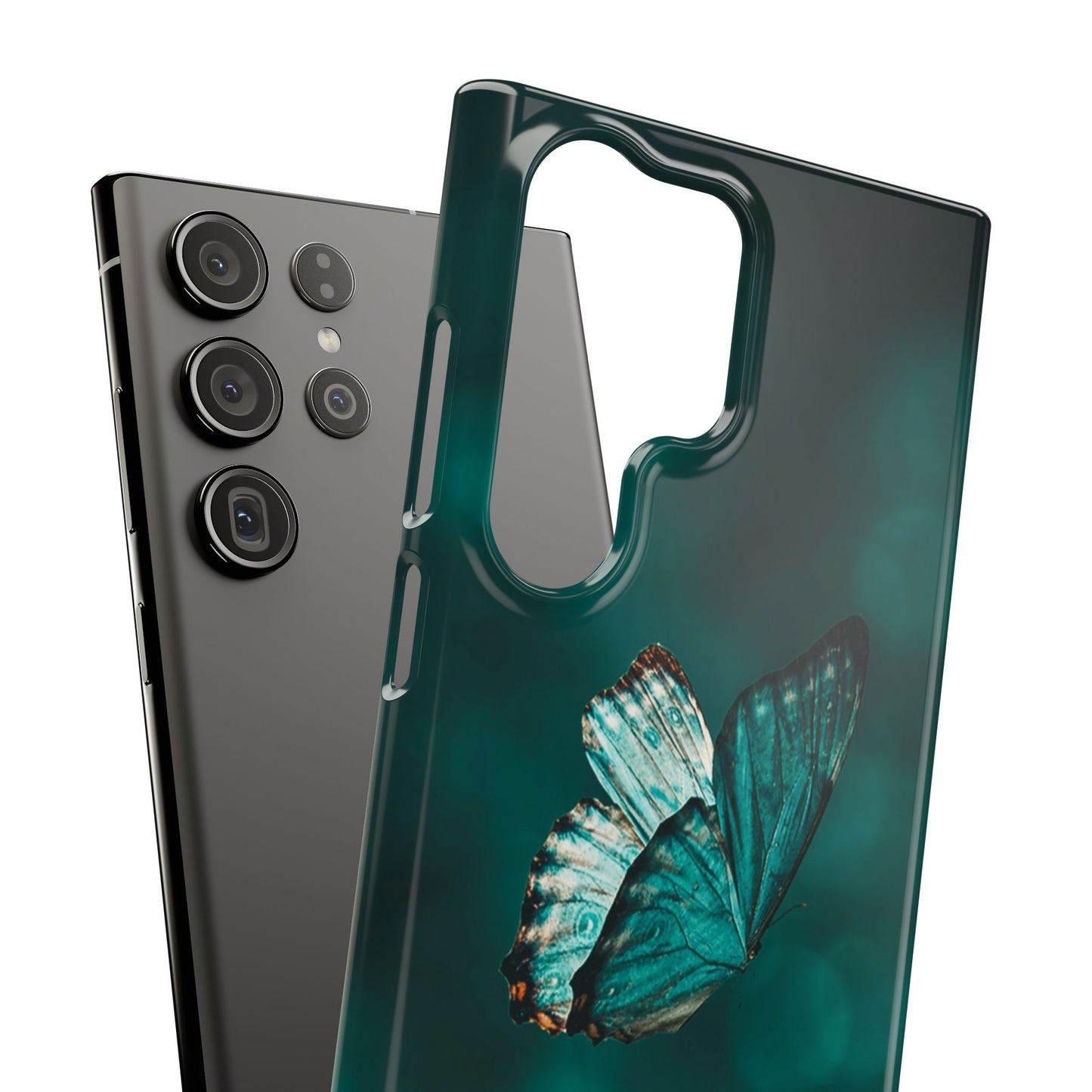 Butterfly Cajasol - Perfect for Nature Lovers