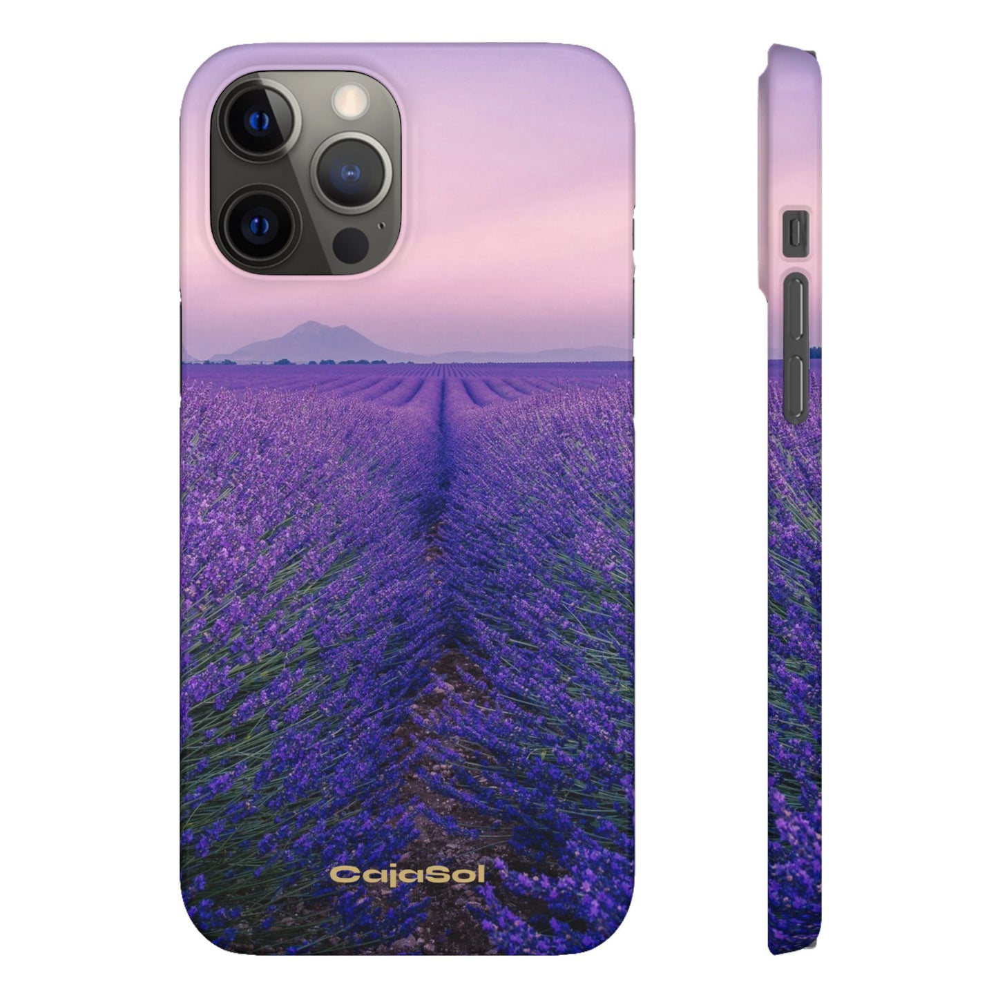 Lavender Fields Cajasol - A Floral Touch for Nature Lovers