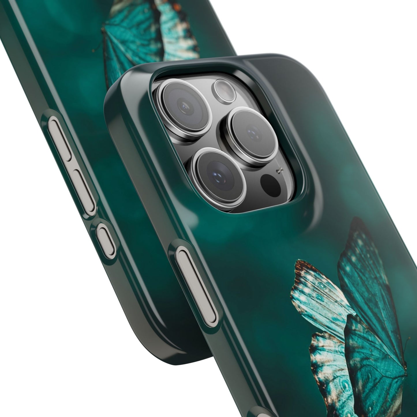 Butterfly Cajasol - Perfect for Nature Lovers