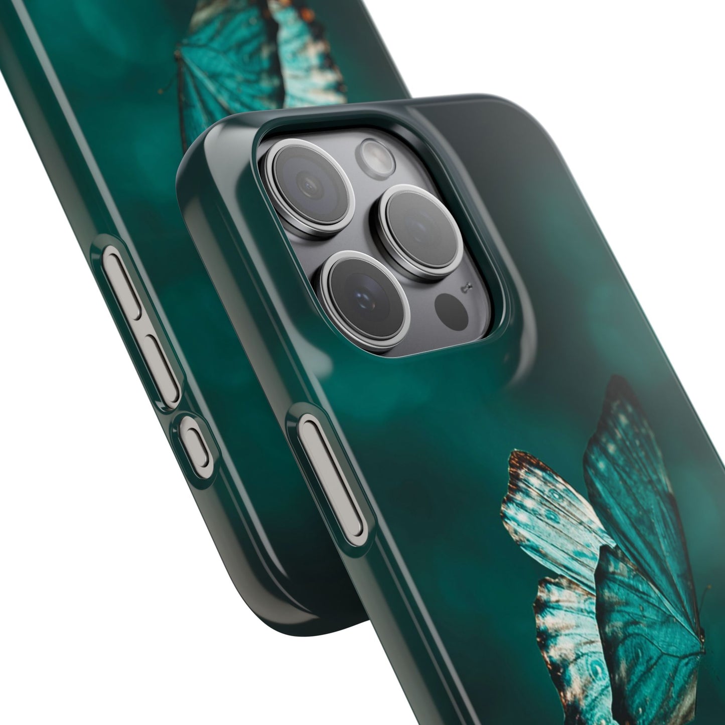 Butterfly Cajasol - Perfect for Nature Lovers