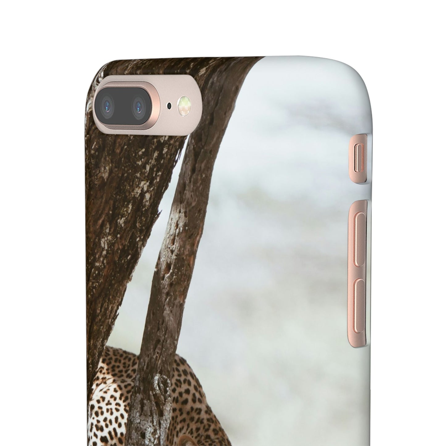 Leopard Cajasol - Wildlife Vibes