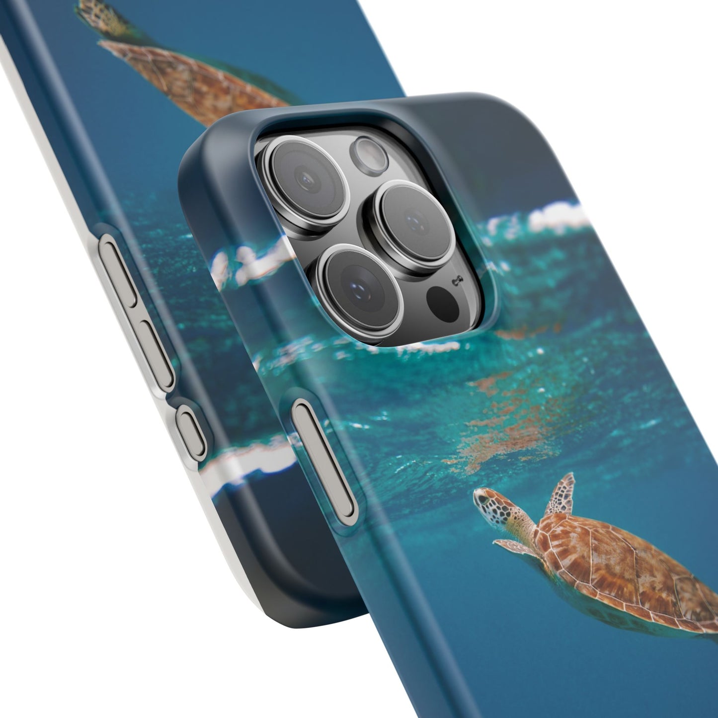 Sea Turtle Cajasol - Perfect for Beach Lovers