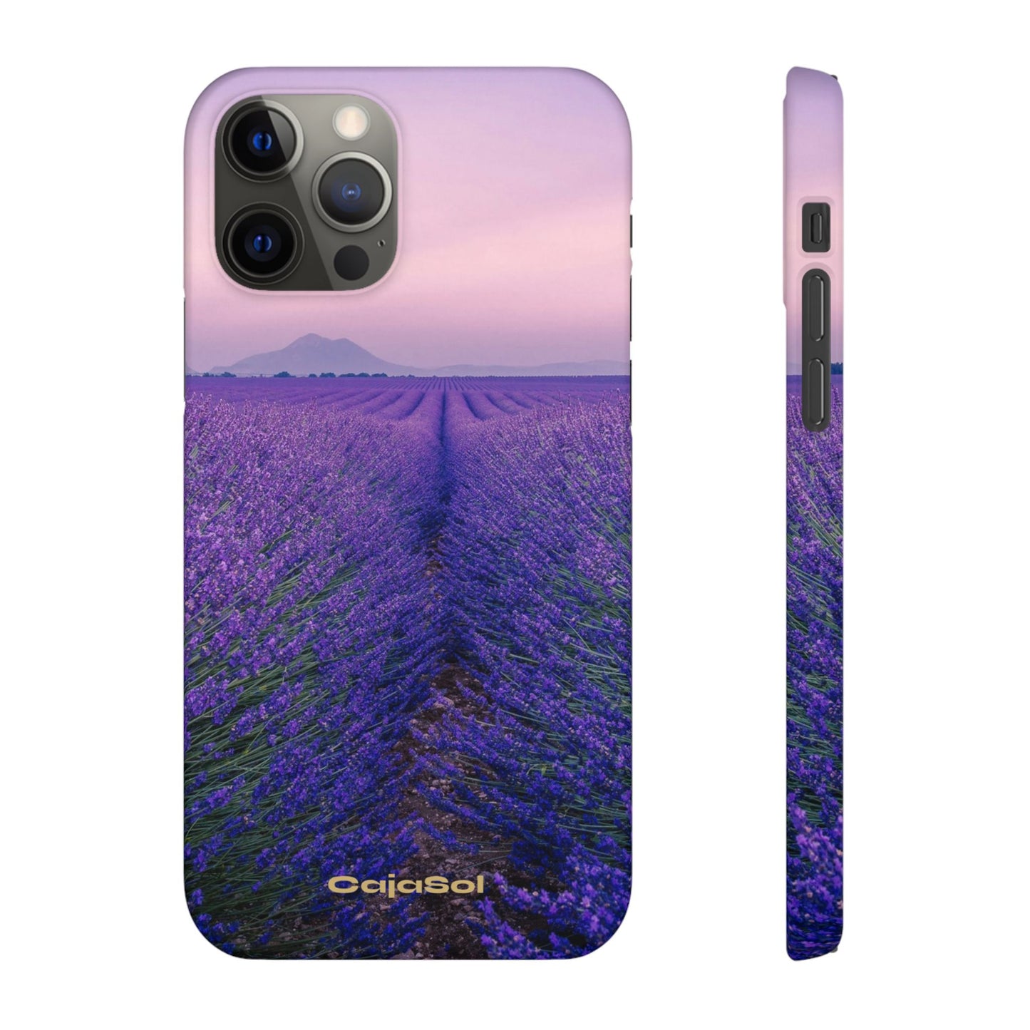 Lavender Fields Cajasol - A Floral Touch for Nature Lovers