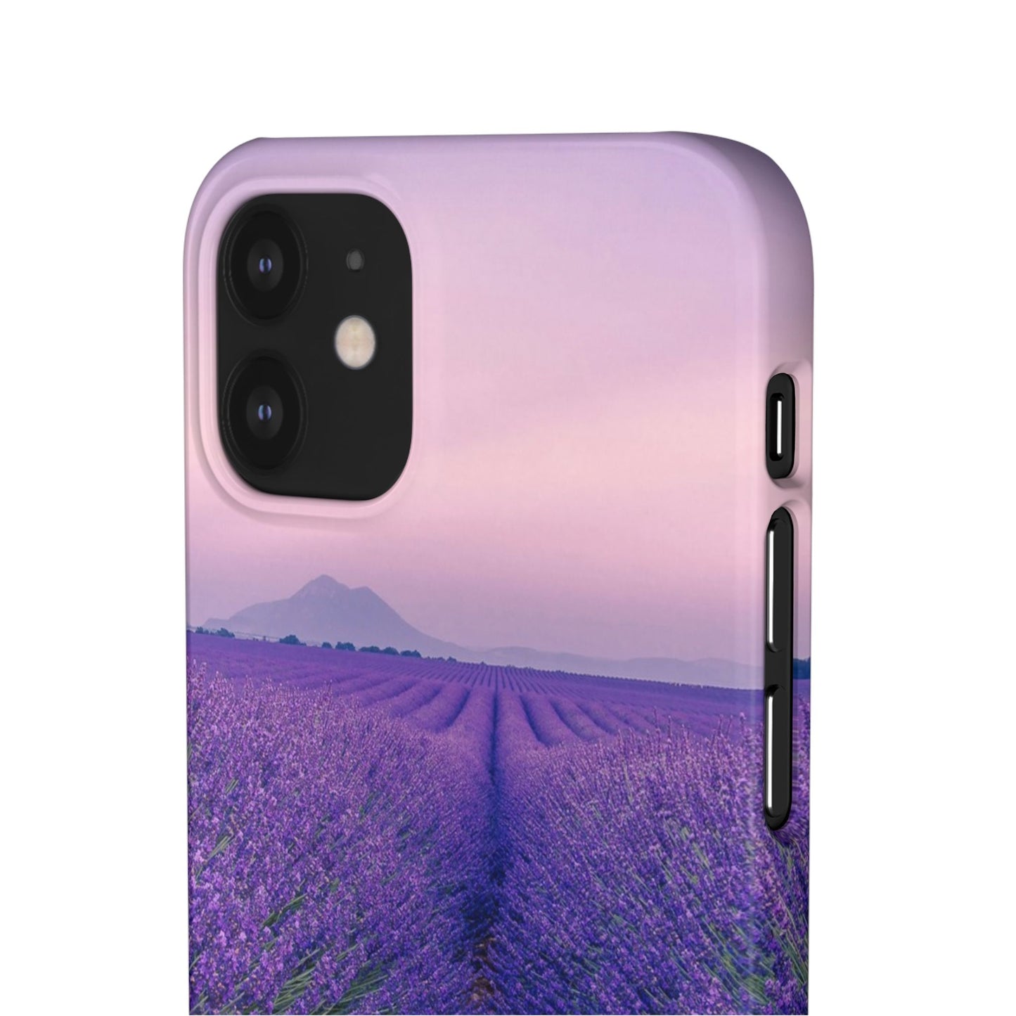 Lavender Fields Cajasol - A Floral Touch for Nature Lovers