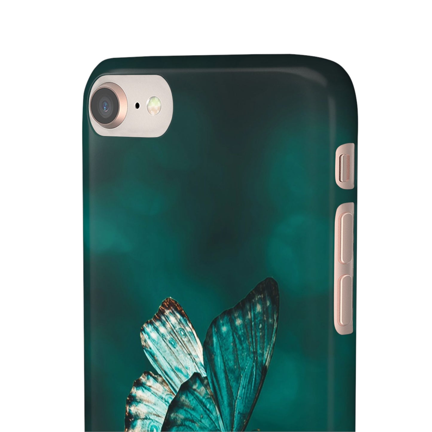 Butterfly Cajasol - Perfect for Nature Lovers