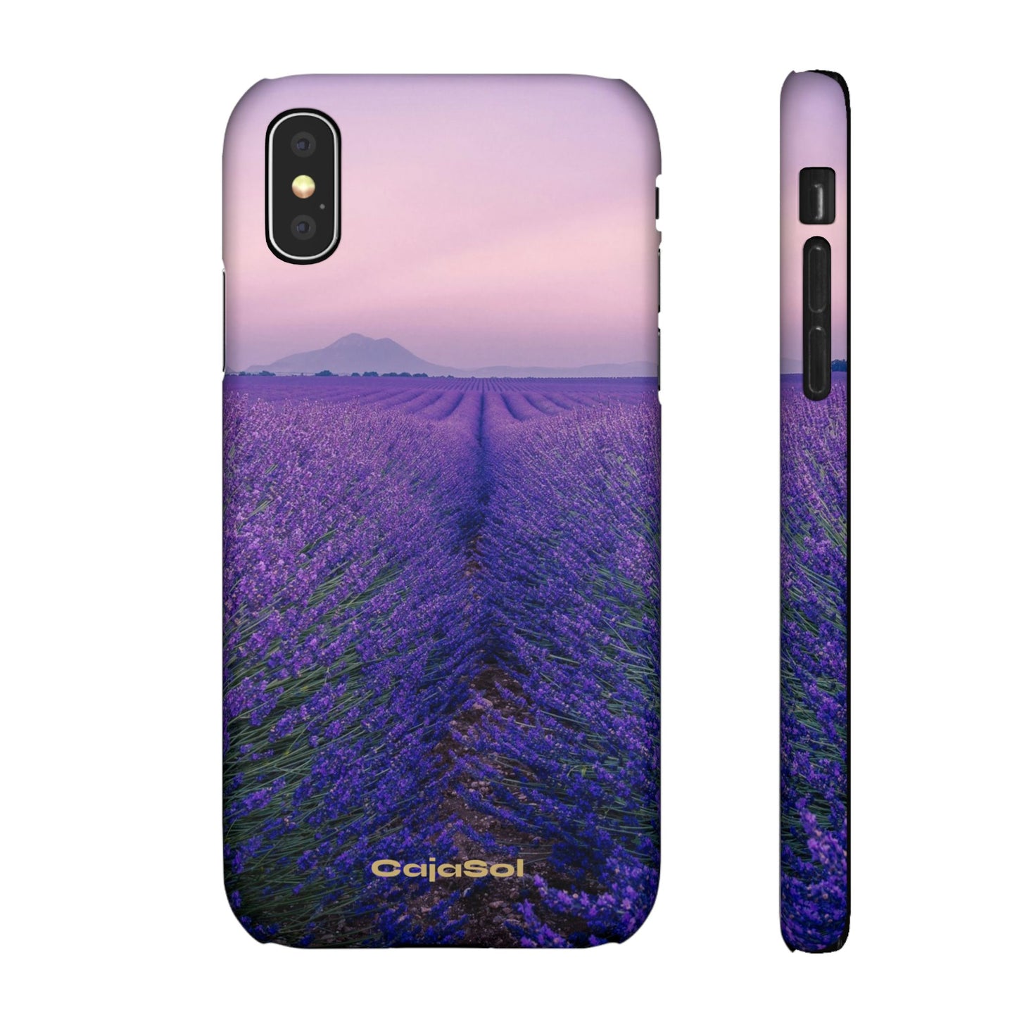 Lavender Fields Cajasol - A Floral Touch for Nature Lovers