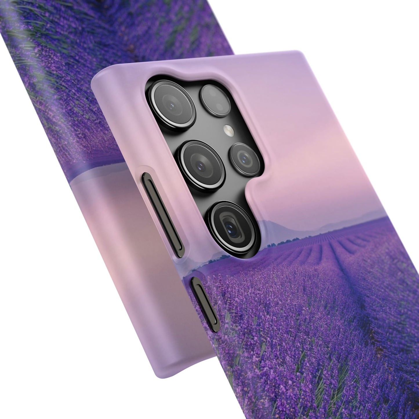 Lavender Fields Cajasol - A Floral Touch for Nature Lovers