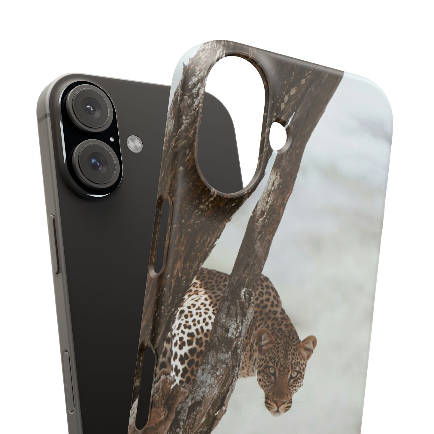 Leopard Cajasol - Wildlife Vibes
