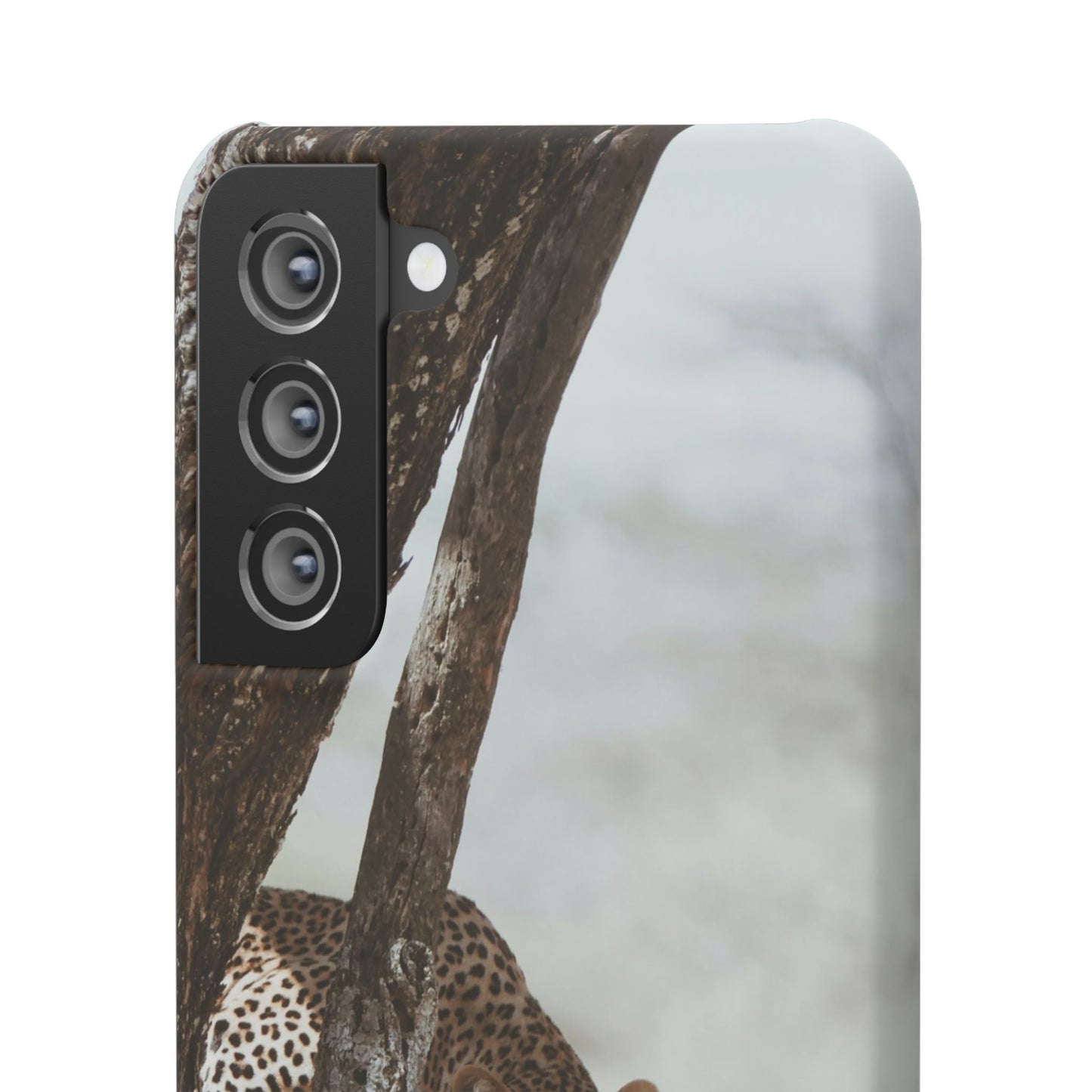 Leopard Cajasol - Wildlife Vibes