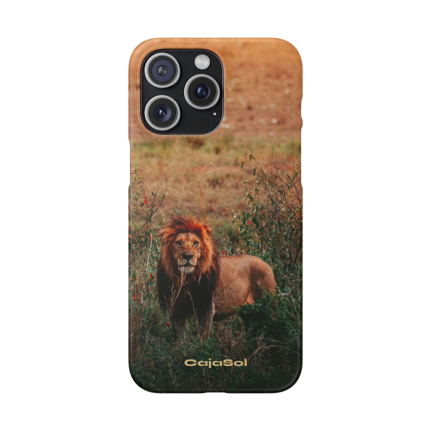 Majestic Lion Cajasol - Nature Inspired