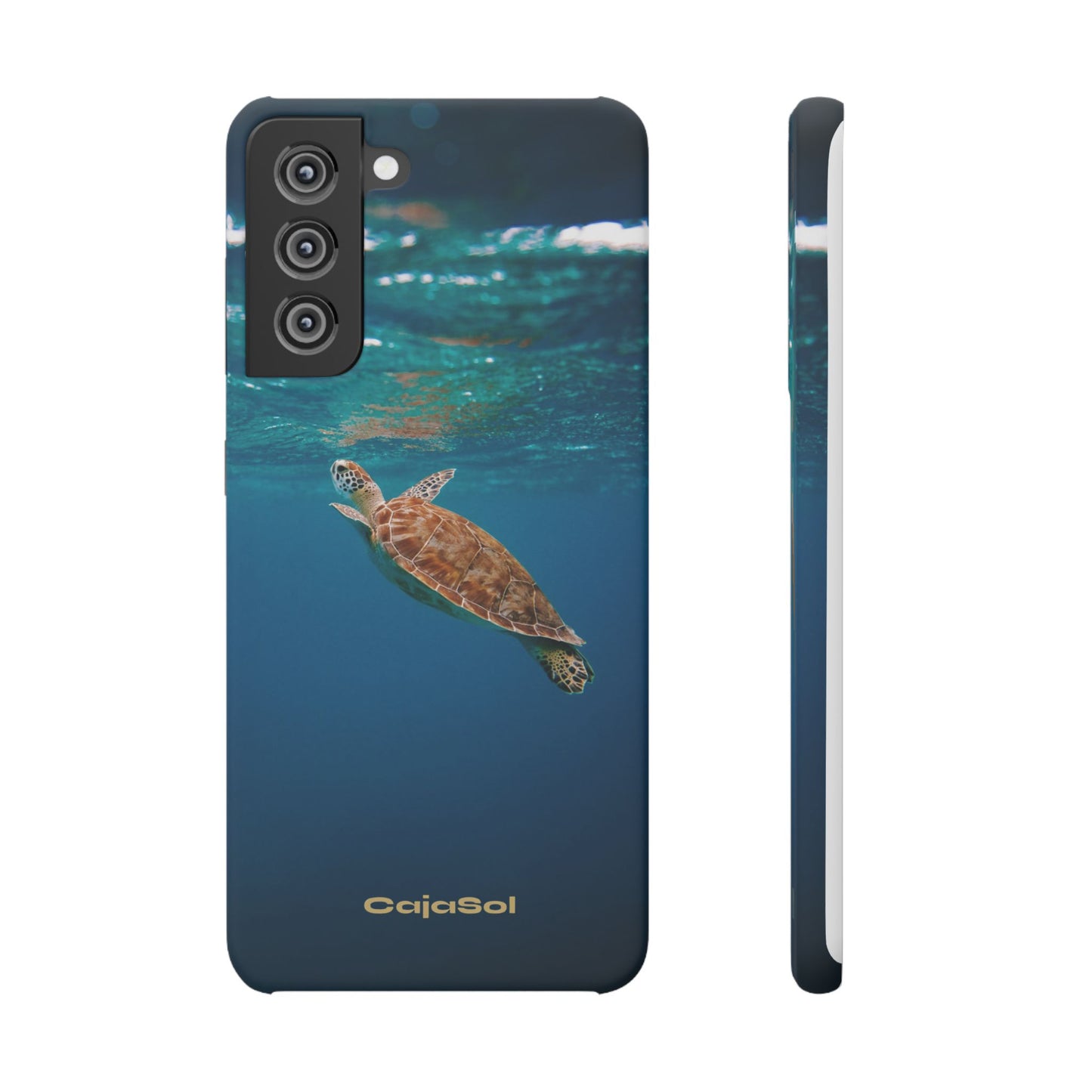Sea Turtle Cajasol - Perfect for Beach Lovers
