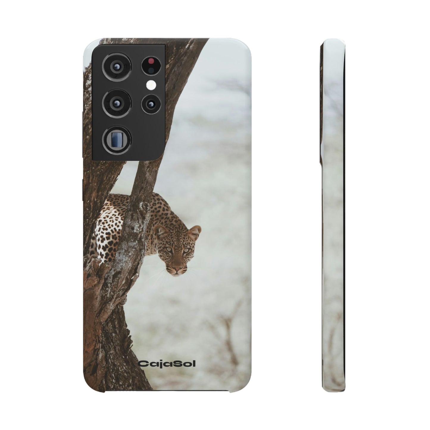 Leopard Cajasol - Wildlife Vibes