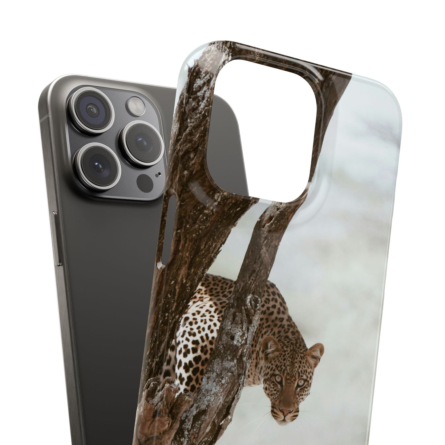 Leopard Cajasol - Wildlife Vibes