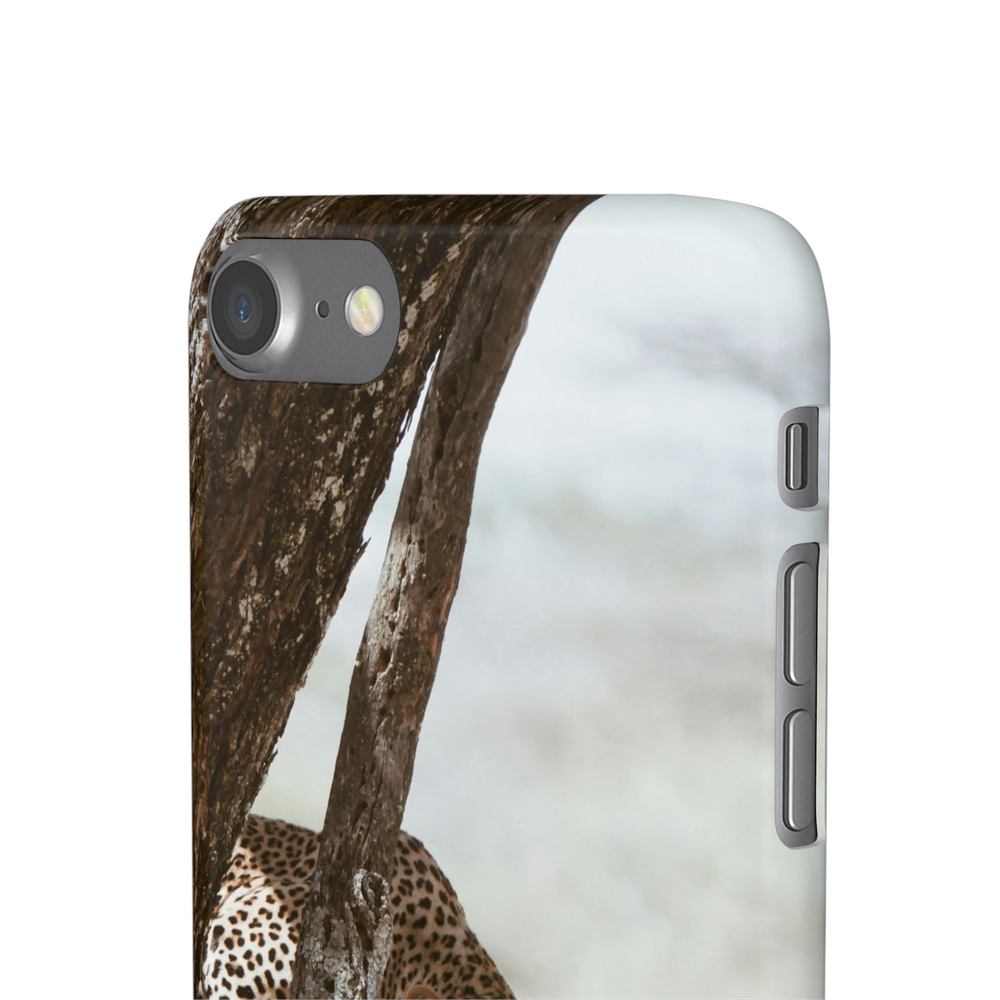 Leopard Cajasol - Wildlife Vibes