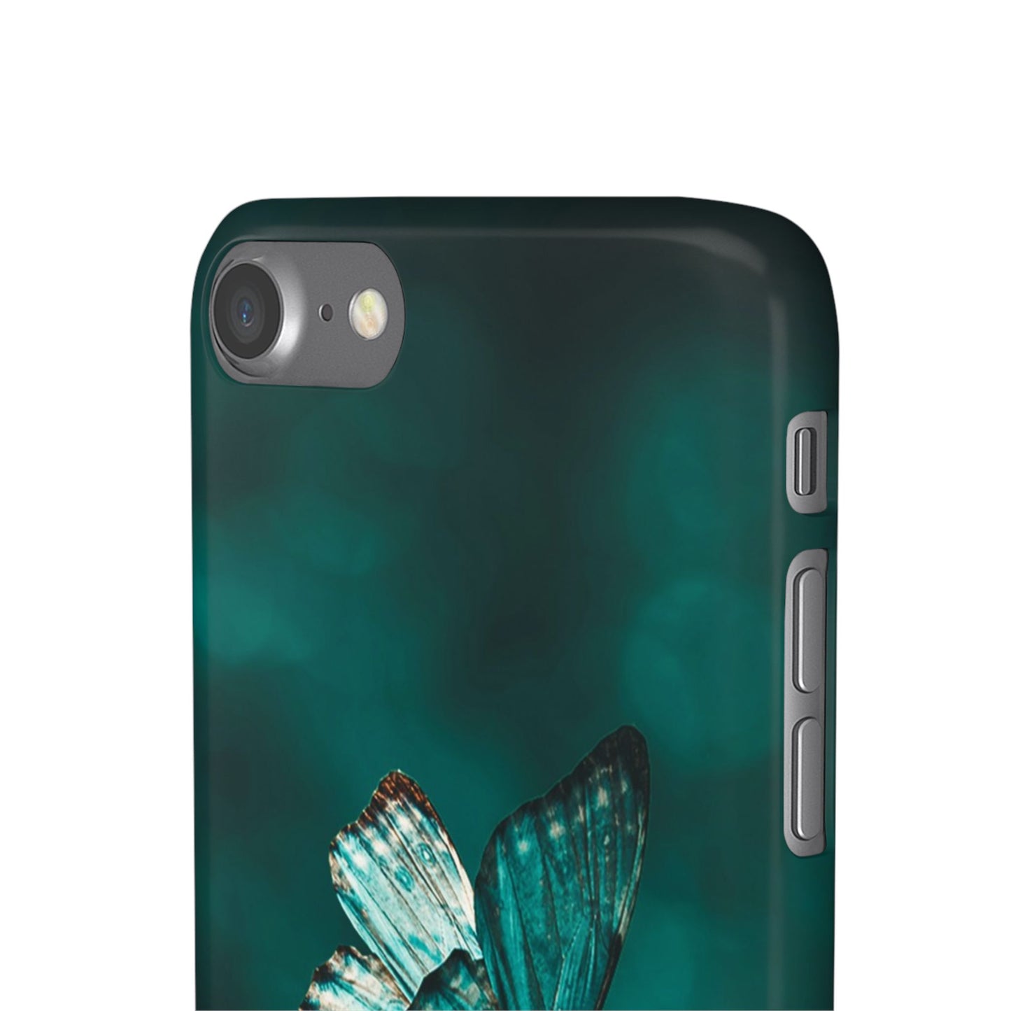 Butterfly Cajasol - Perfect for Nature Lovers