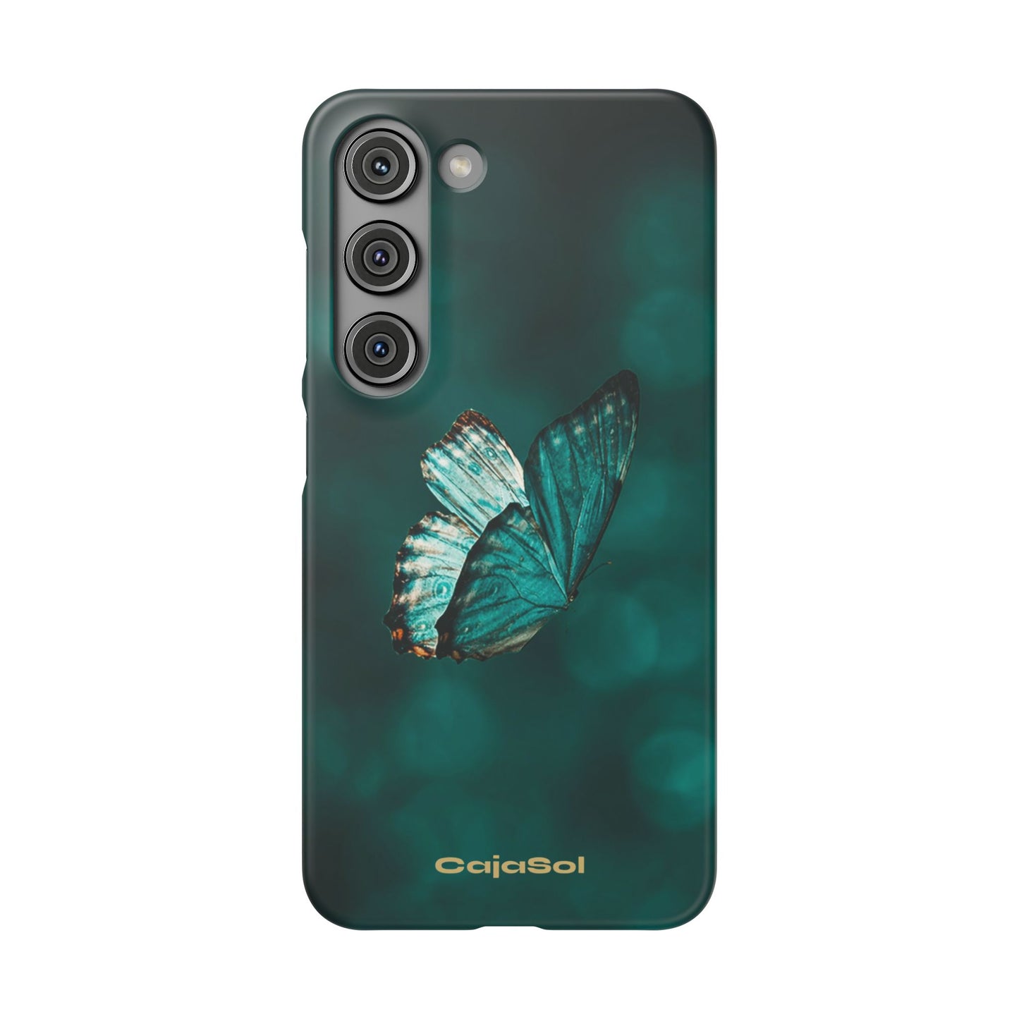 Butterfly Cajasol - Perfect for Nature Lovers