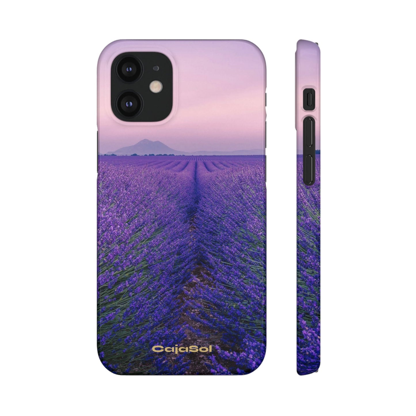 Lavender Fields Cajasol - A Floral Touch for Nature Lovers