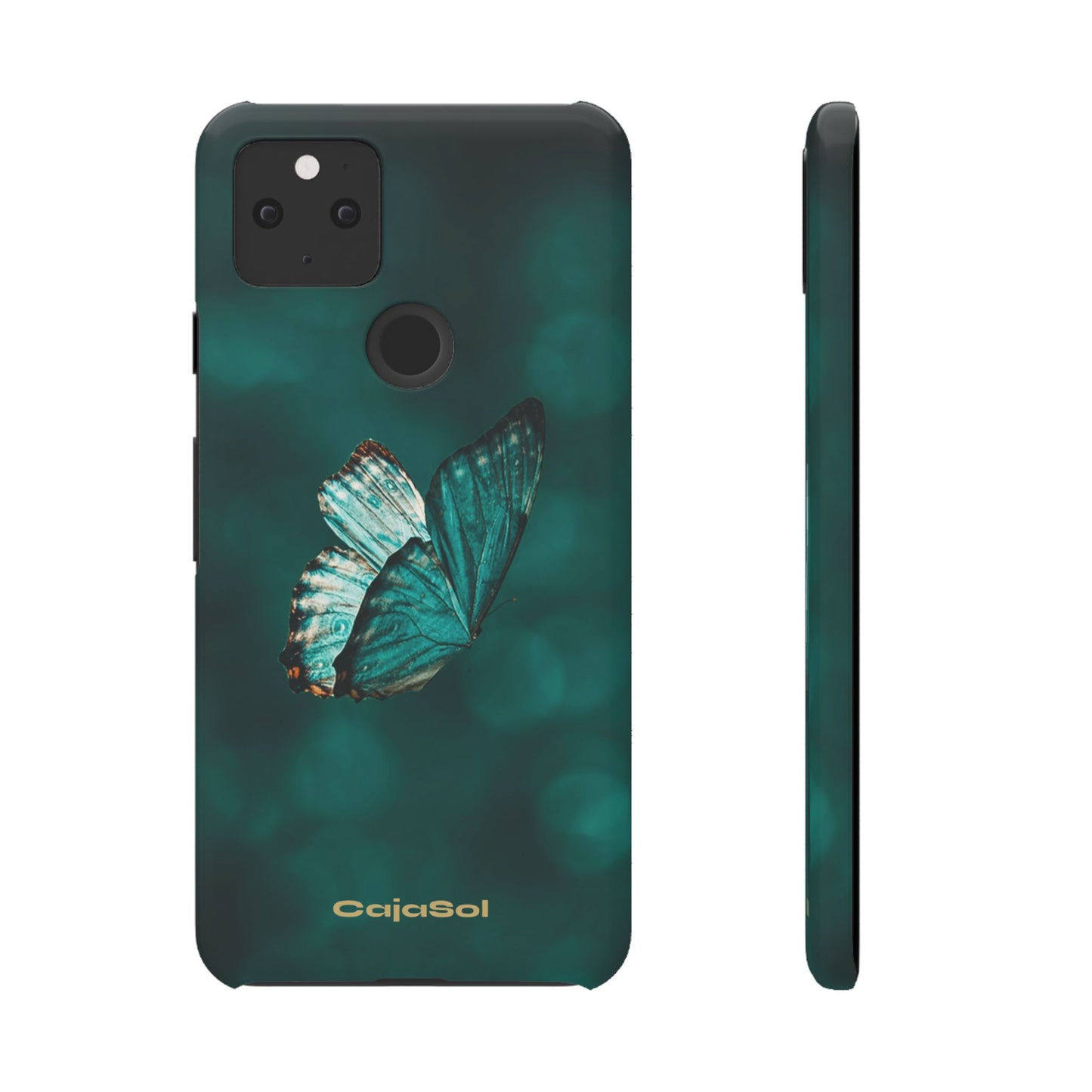 Butterfly Cajasol - Perfect for Nature Lovers