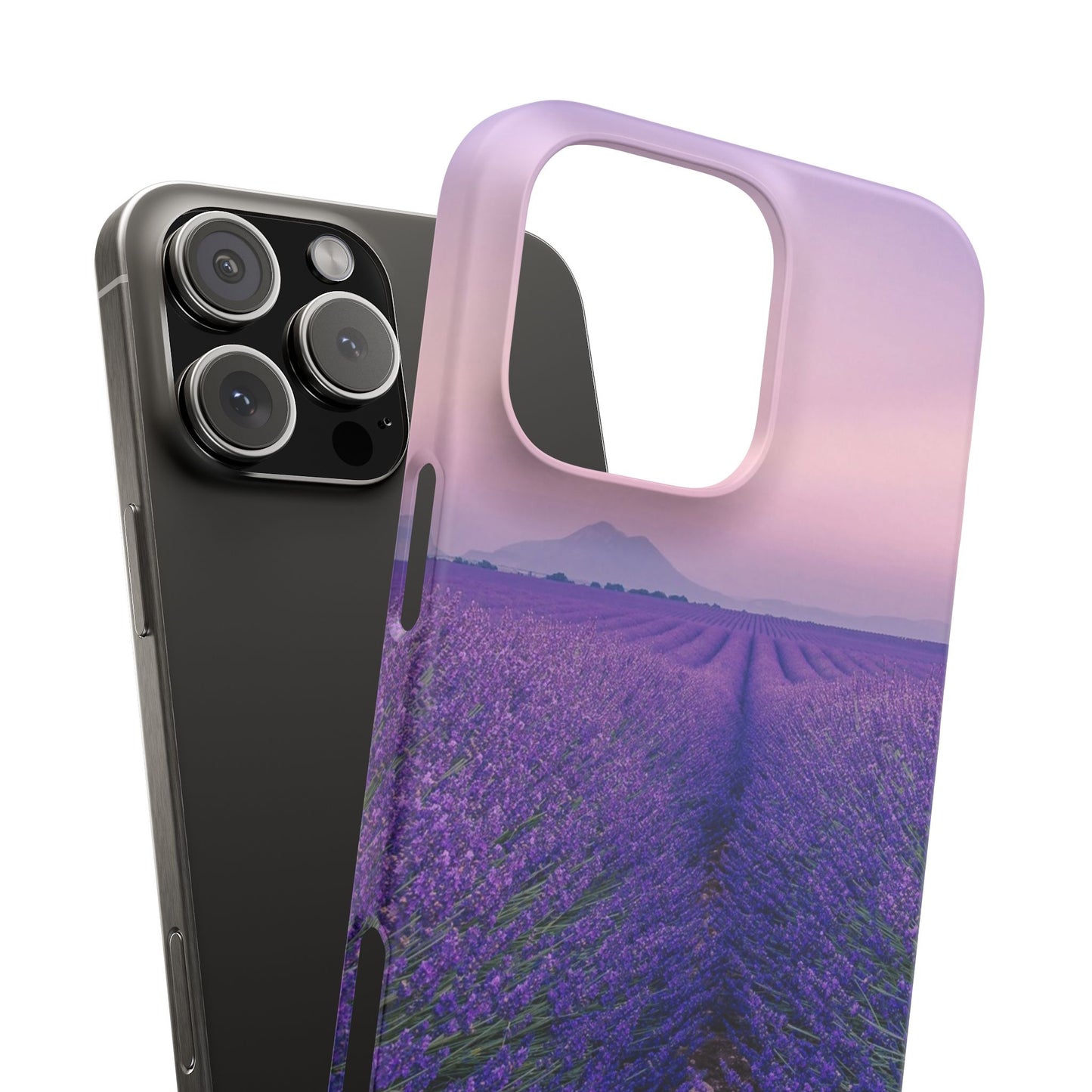 Lavender Fields Cajasol - A Floral Touch for Nature Lovers