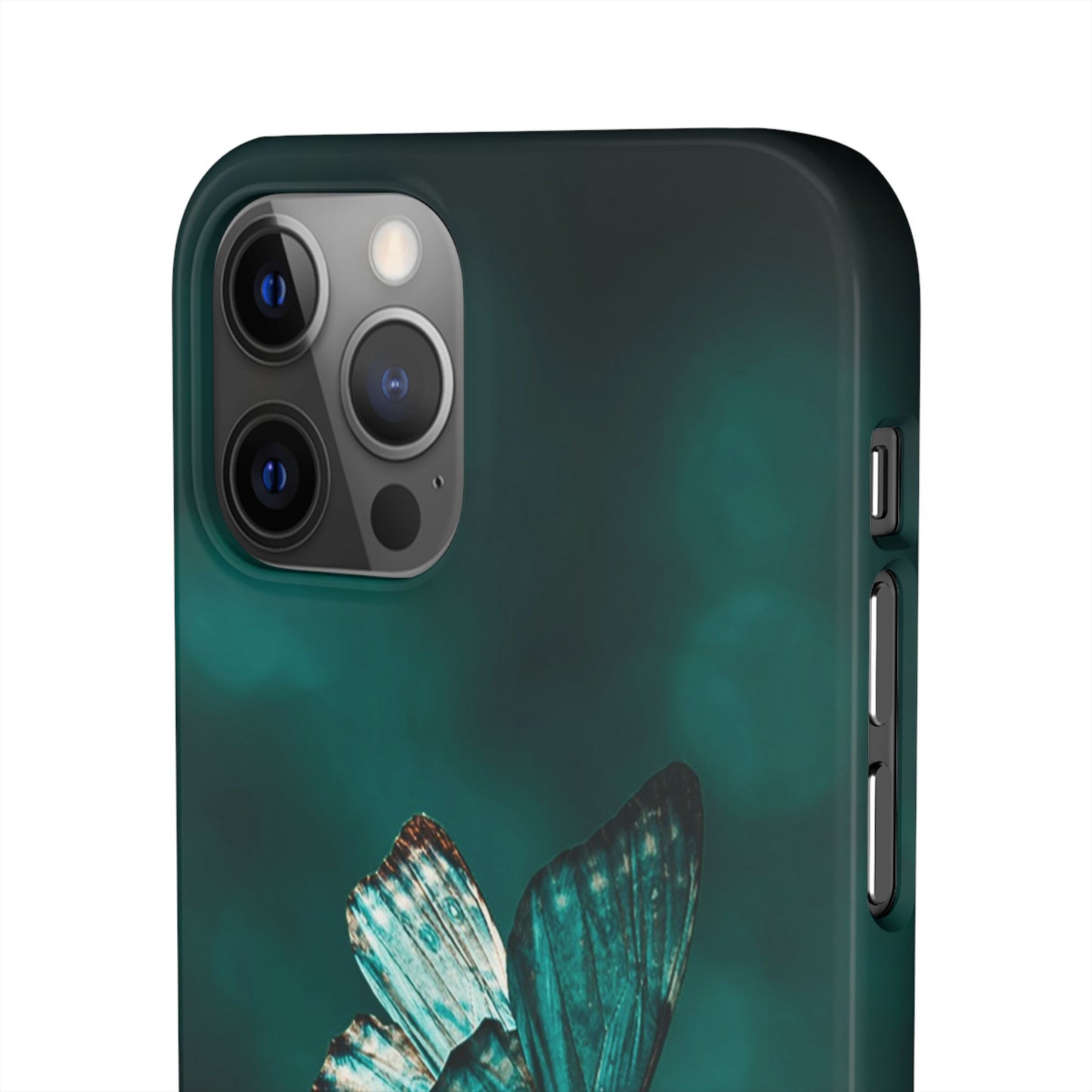 Butterfly Cajasol - Perfect for Nature Lovers