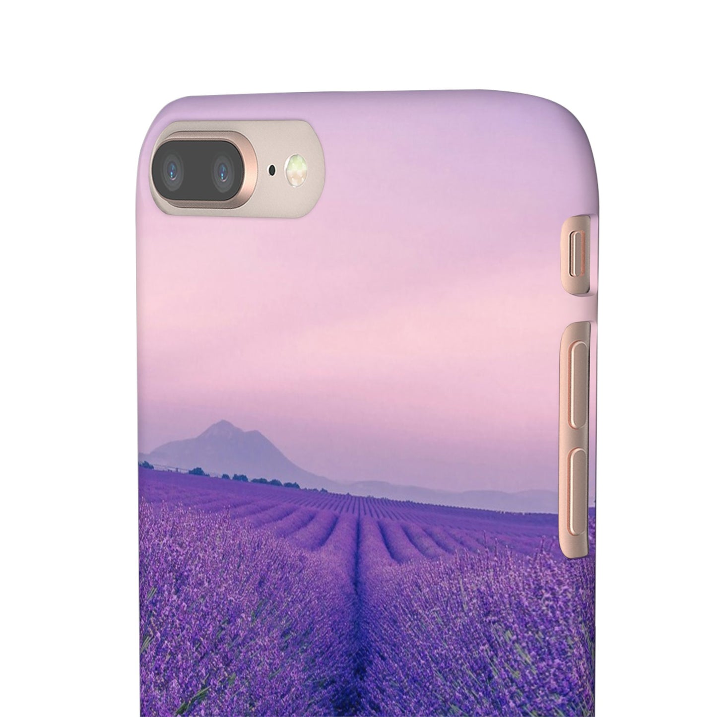 Lavender Fields Cajasol - A Floral Touch for Nature Lovers