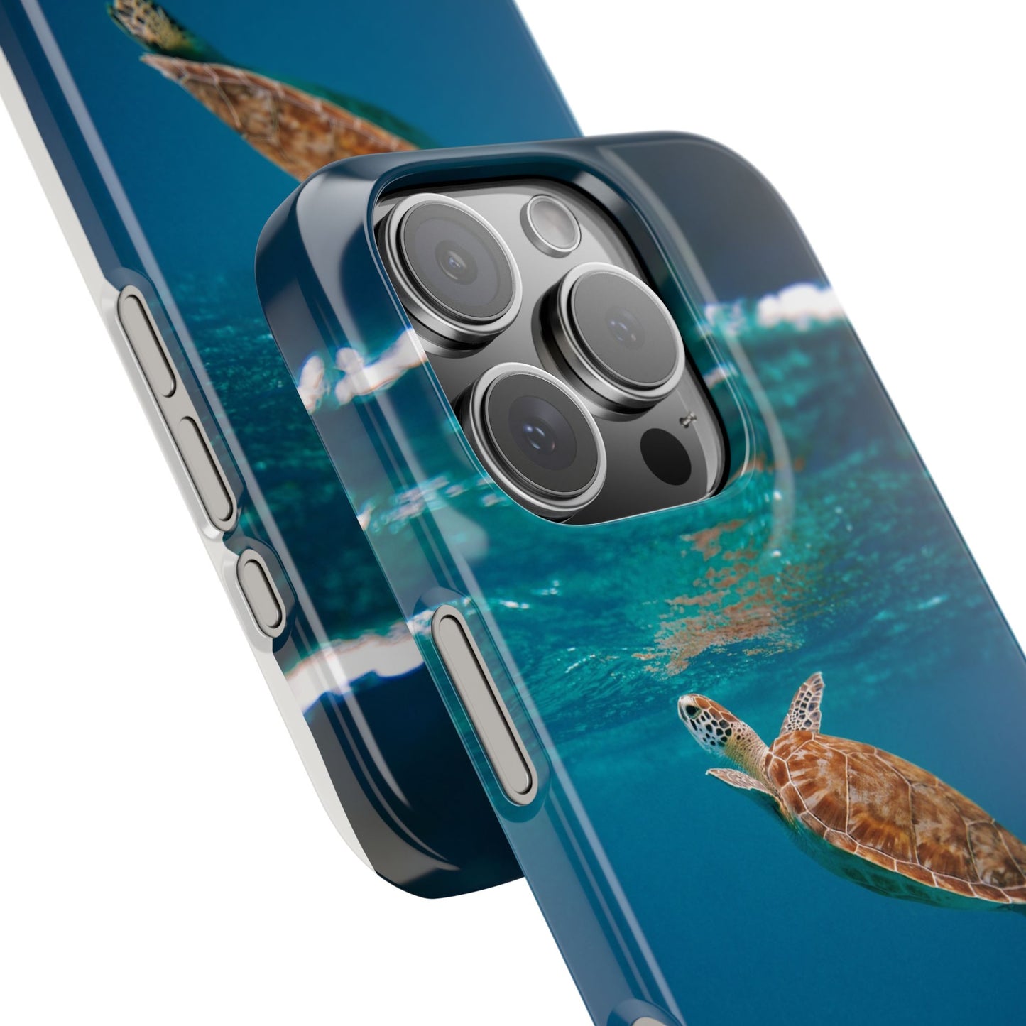 Sea Turtle Cajasol - Perfect for Beach Lovers