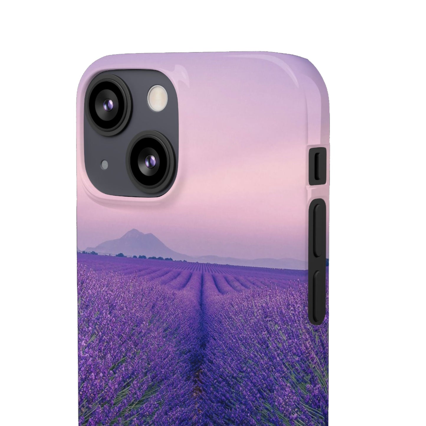 Lavender Fields Cajasol - A Floral Touch for Nature Lovers