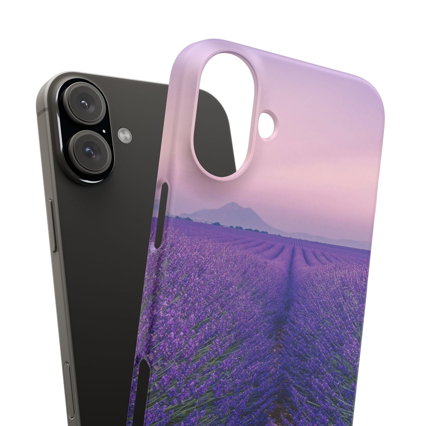 Lavender Fields Cajasol - A Floral Touch for Nature Lovers