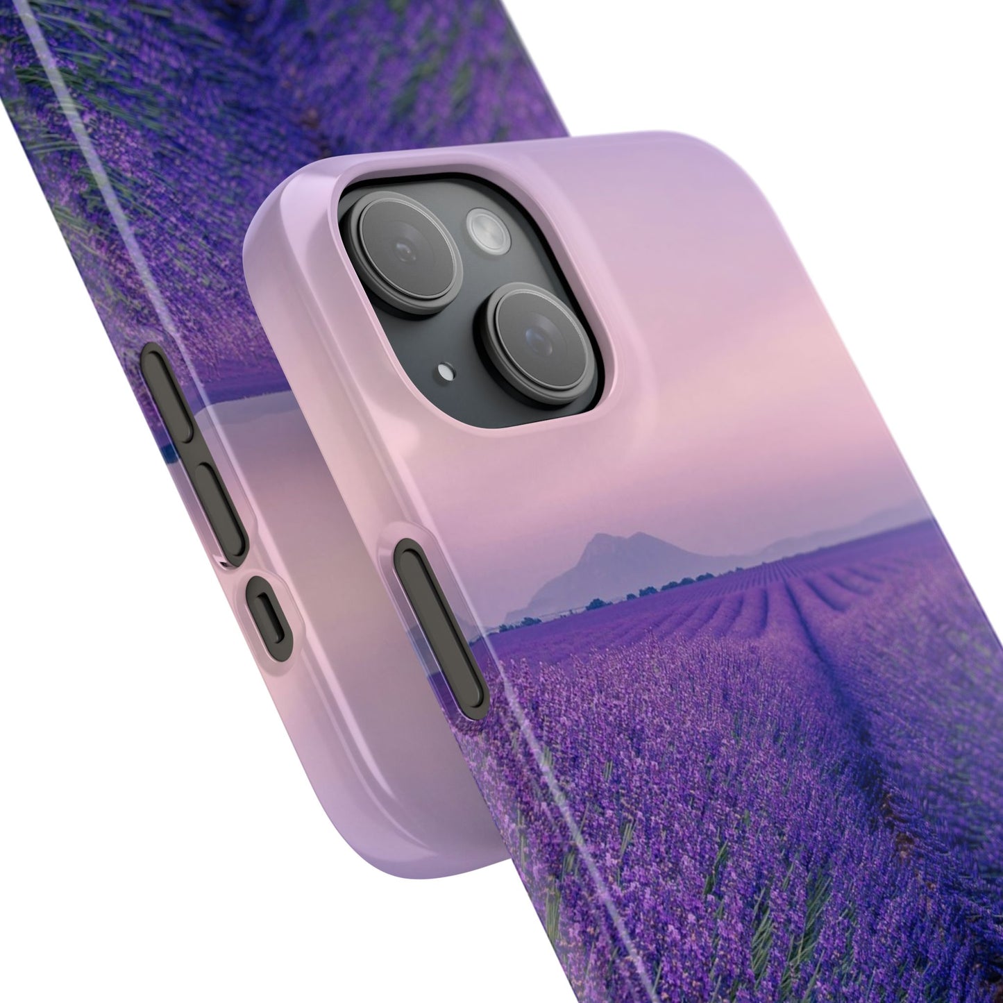 Lavender Fields Cajasol - A Floral Touch for Nature Lovers