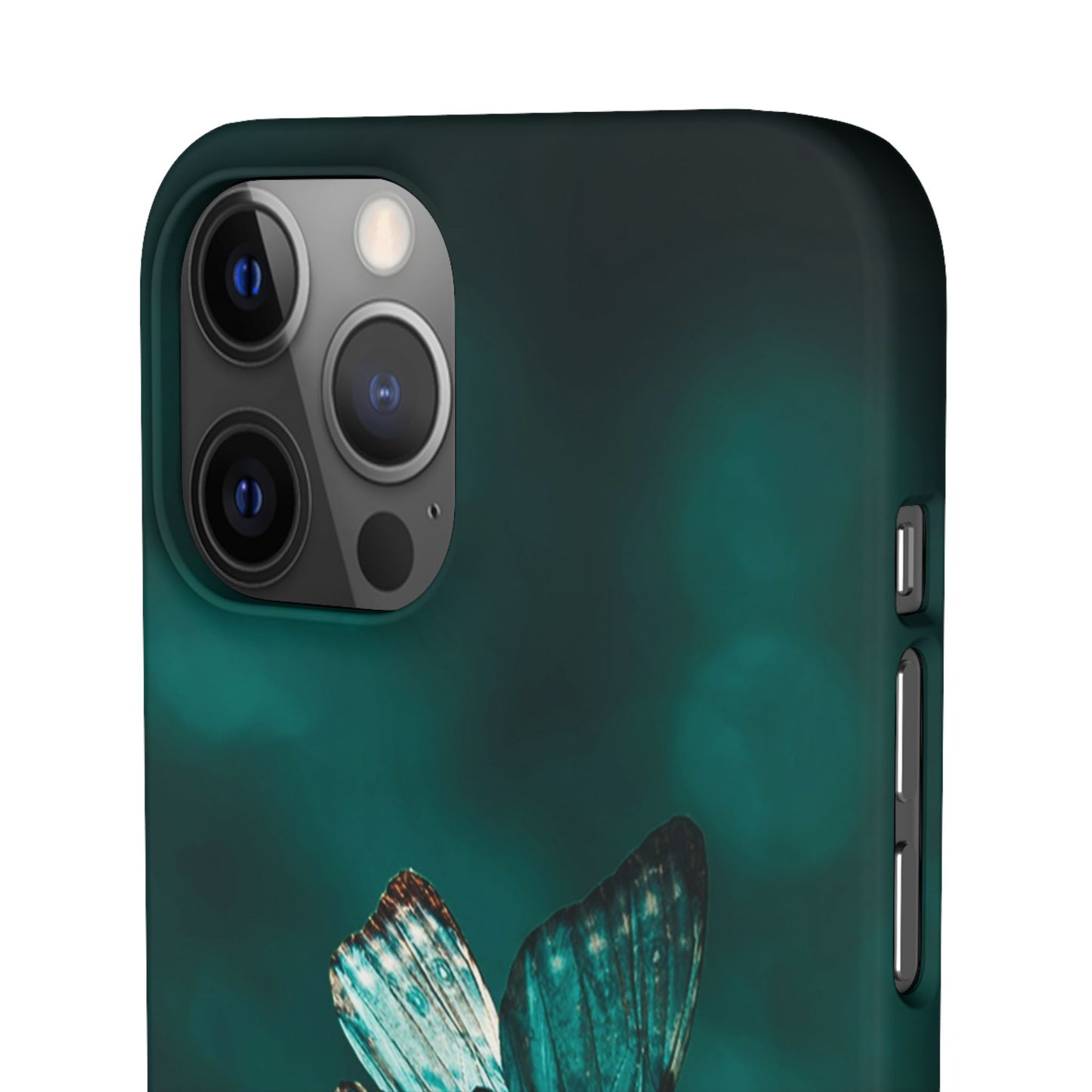 Butterfly Cajasol - Perfect for Nature Lovers